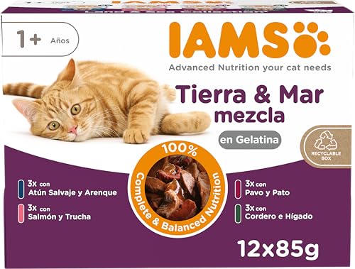 Detalle de IAMS Delights Adult Cat Land & Sea Collection en Jelly 12 x 85 g