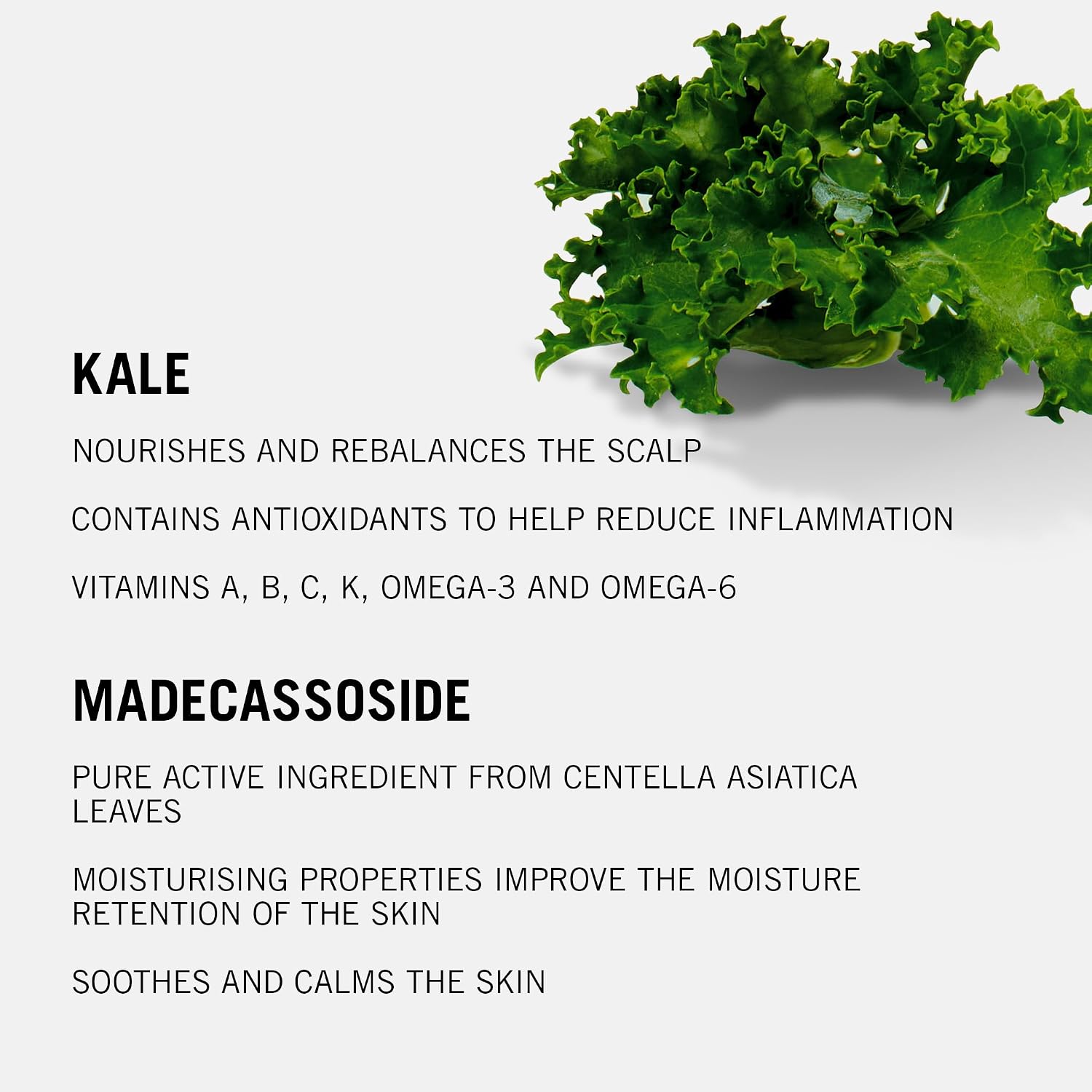 Thumbnail 6 de Schwarzkopf Professional Bonacure Soothing Shampoo for Dry, Sensitive Scalp (Kale & Madecassoside) 250 ml