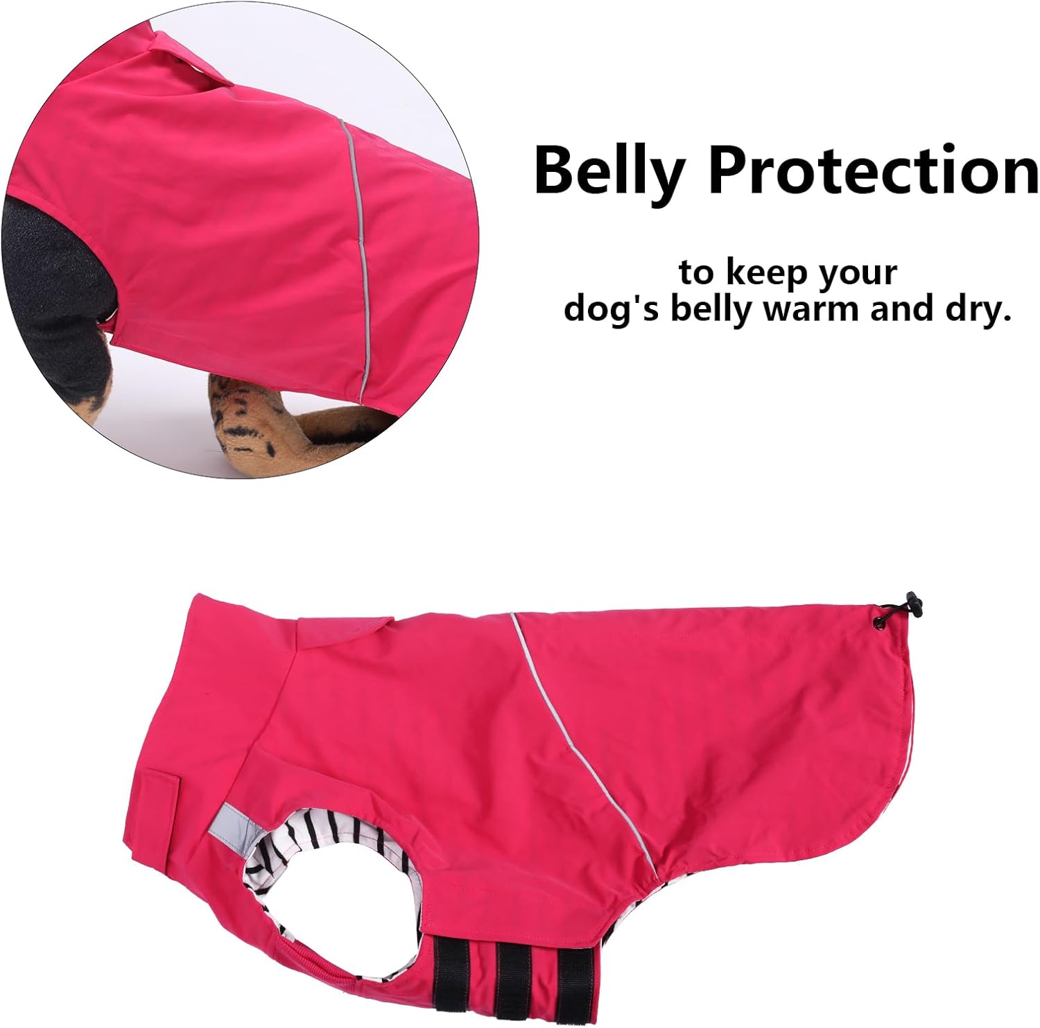 Thumbnail 4 de Morezi Dachshund coat waterproof dog raincoat with reflective stripe and belly protection (Pink) – size XS