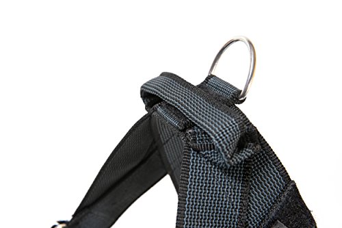 Detalle de Julius-K9 Arnés para perro M, negro-gris 🐕