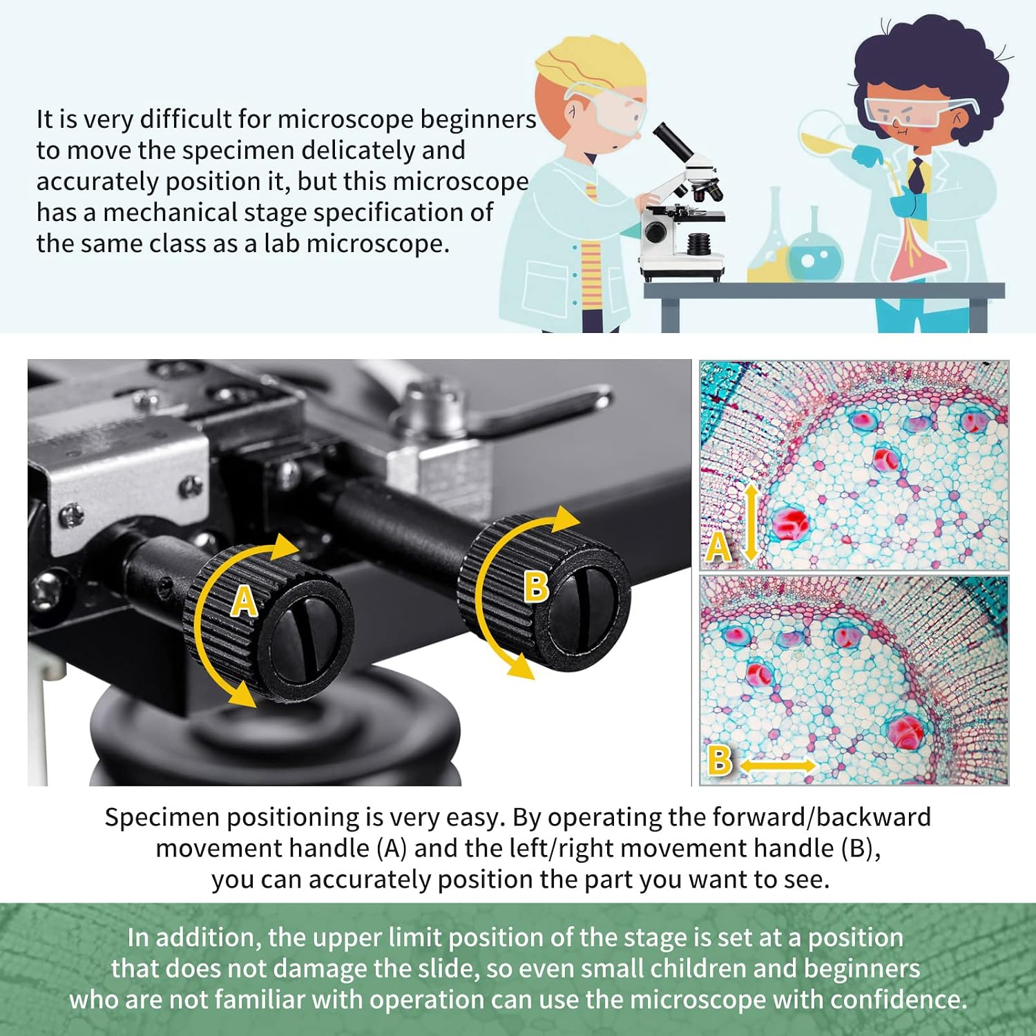 Detalle 2 de Microscope monoculaire 100-1000x pour école 🔬