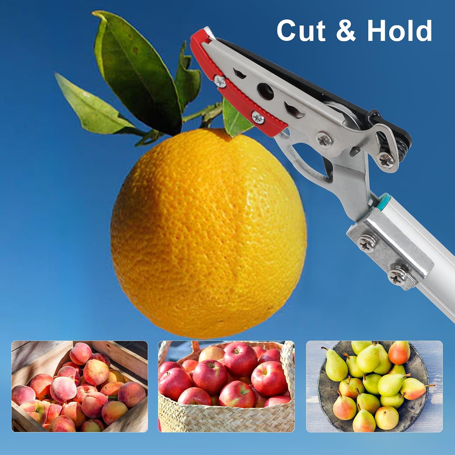 Thumbnail 4 de GARTOL Tree Pruner 130cm Long Reach