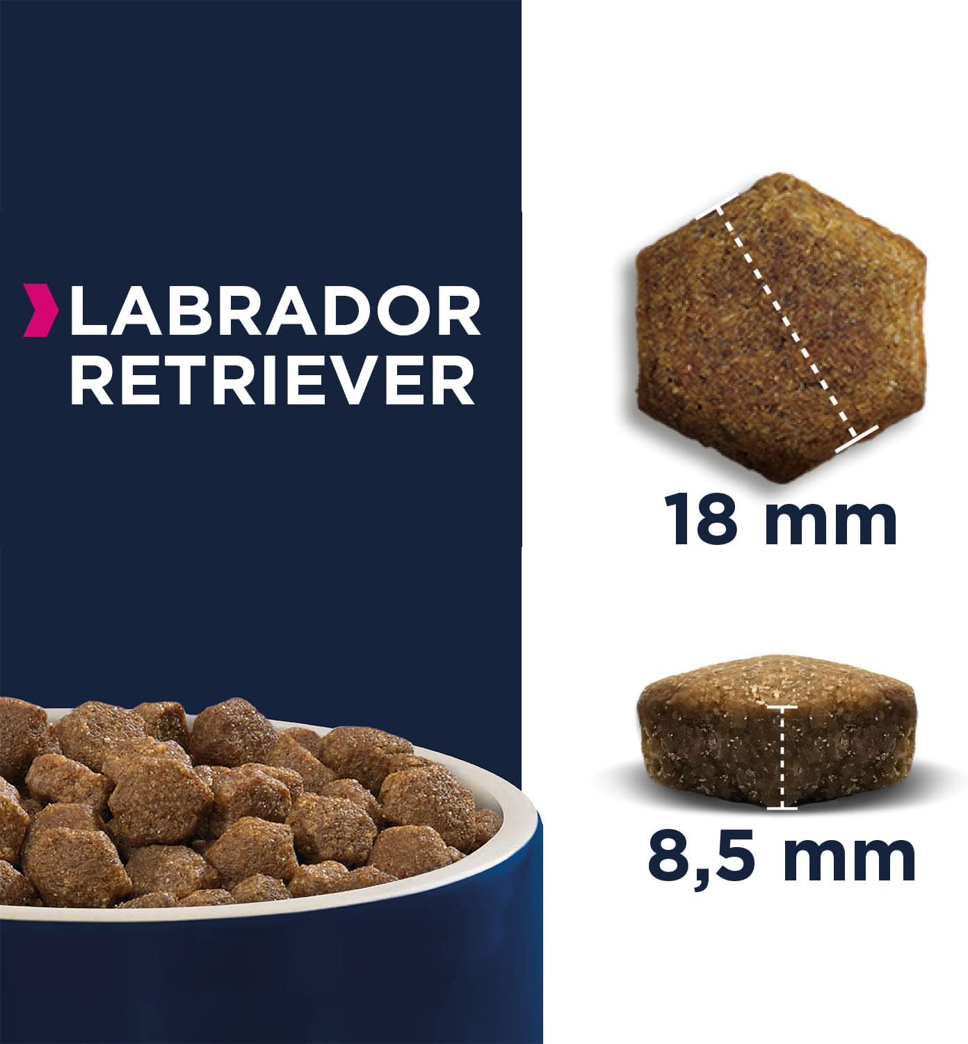Thumbnail 2 de Eukanuba Breed Specific Labrador Retriever Trockenfutter mit Huhn, 12 kg