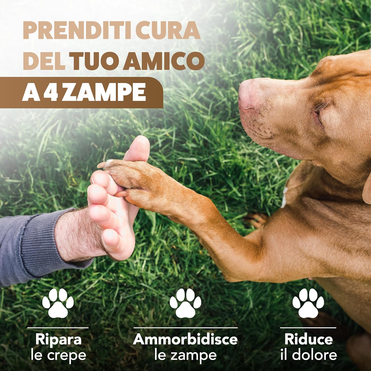 Detalle de SURUS EQUIPMENT Crema Polpastrelli Cane Naturale 100 ml – Protezione Idratante con Vitamina E, Burro di Karité e Cera d'Api