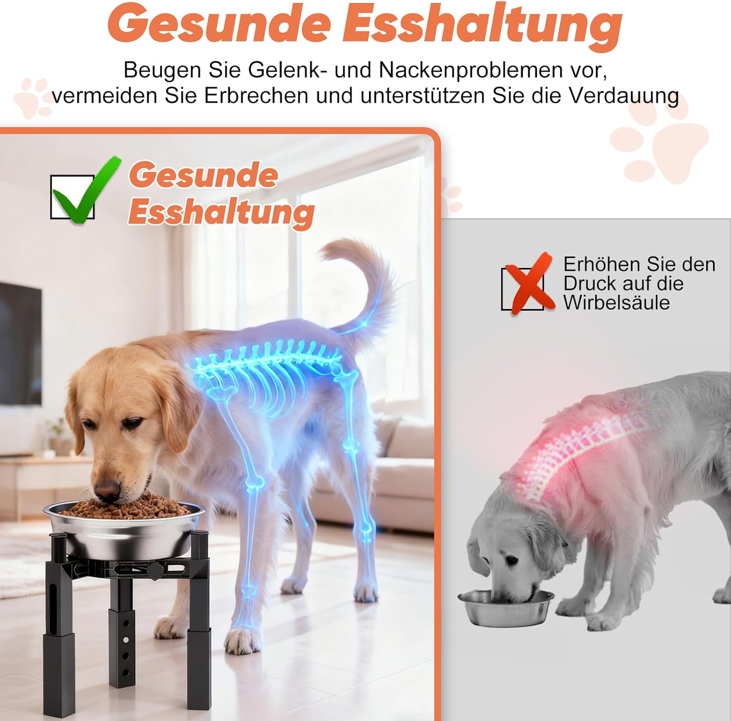 Detalle de X XBEN supporto per ciotole rialzate per cani con 4 altezze e larghezza regolabile (solo supporto)