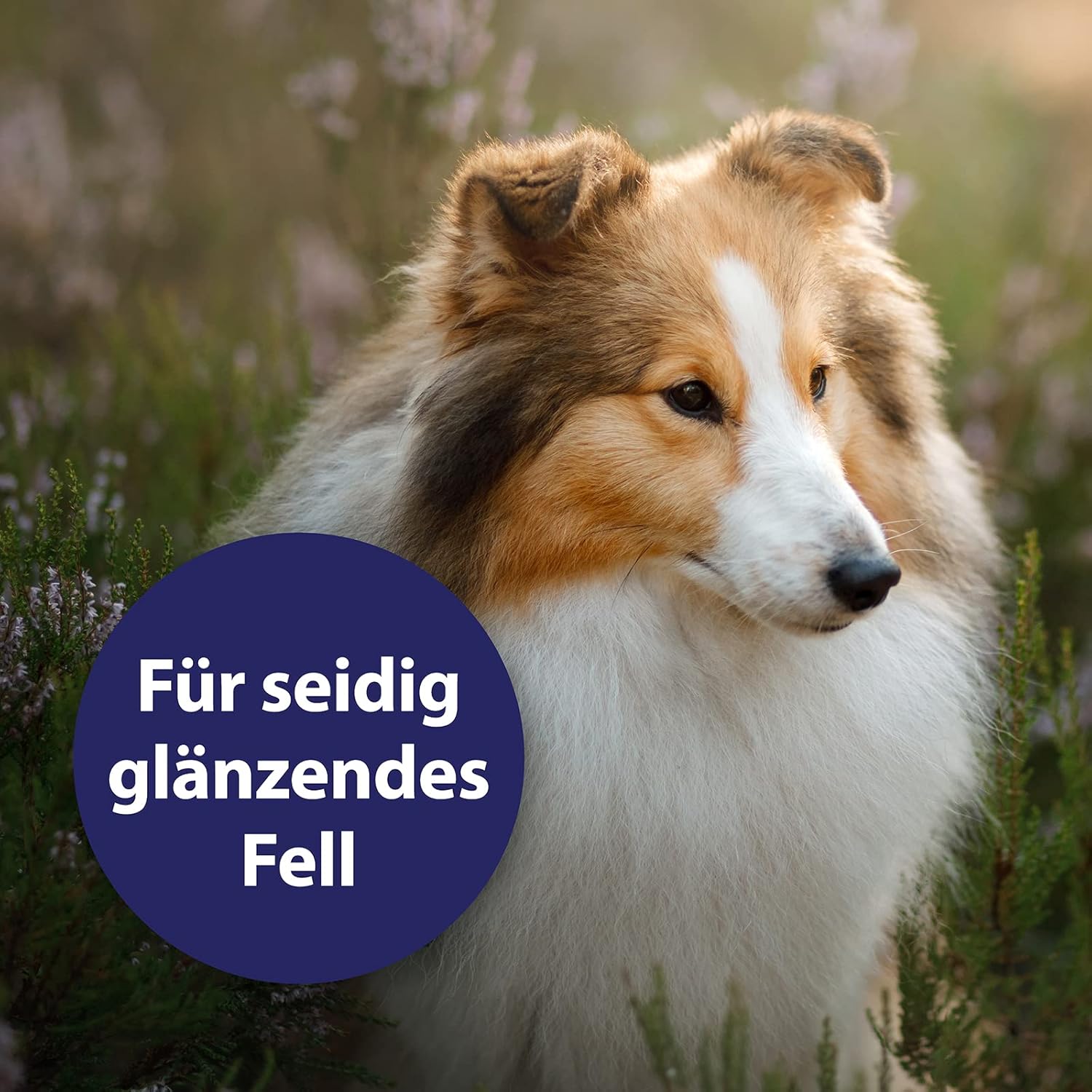 Detalle de Canosept Fellpflegespray – Nie wieder Knoten beim Hund