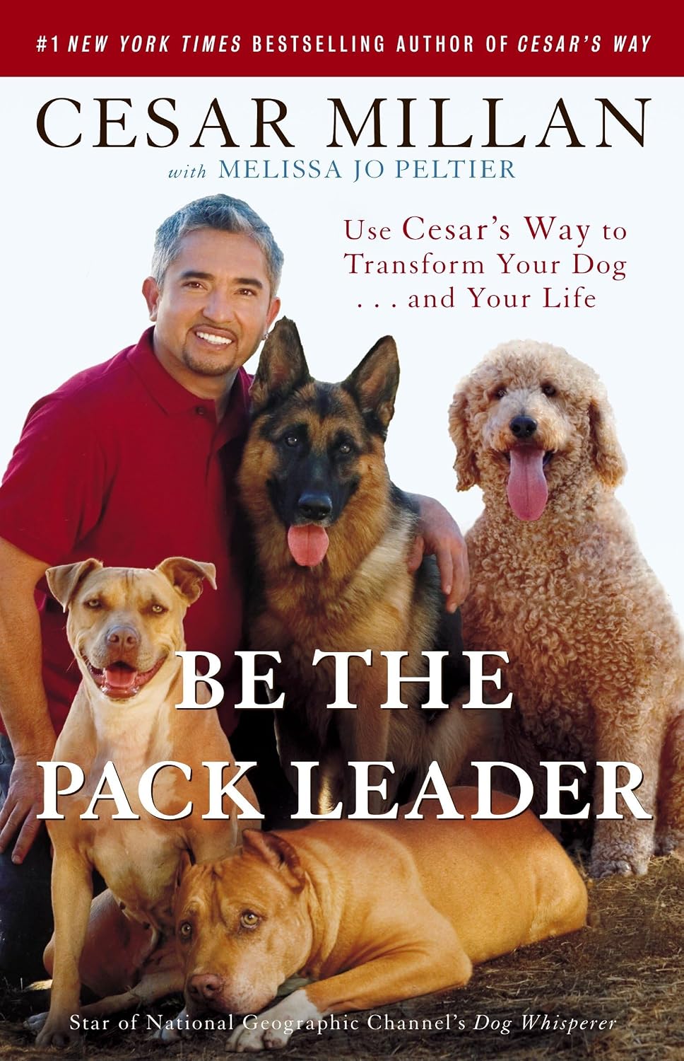 Detalle de Be the Pack Leader: Use Cesar's Way to Transform Your Dog . . . and Your Life