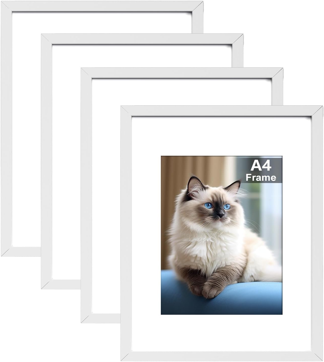 Detalle de RUN HELIX A4 picture frame set of 4