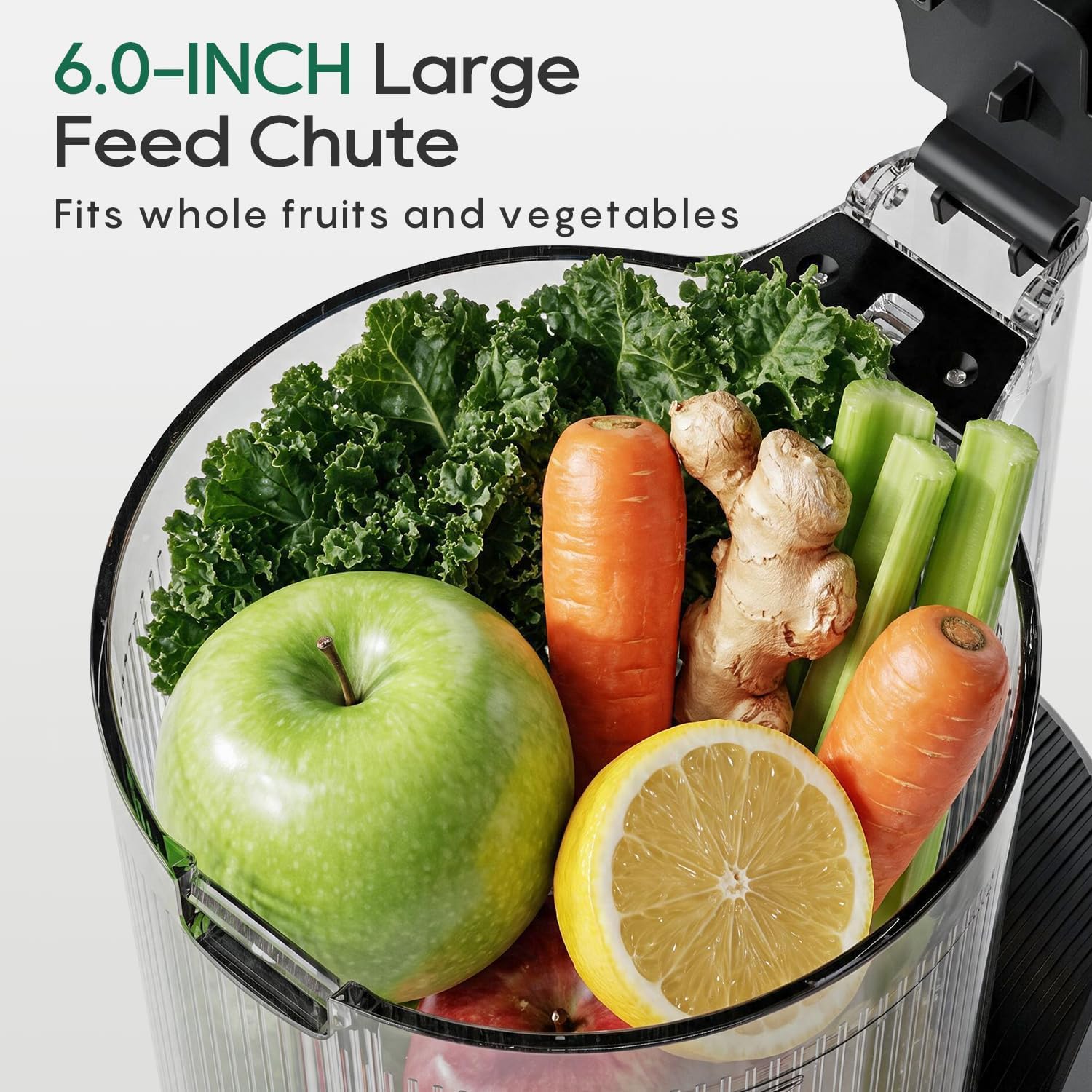 Thumbnail 2 de Canoly C16 Cold Press Juicer 6" Feed