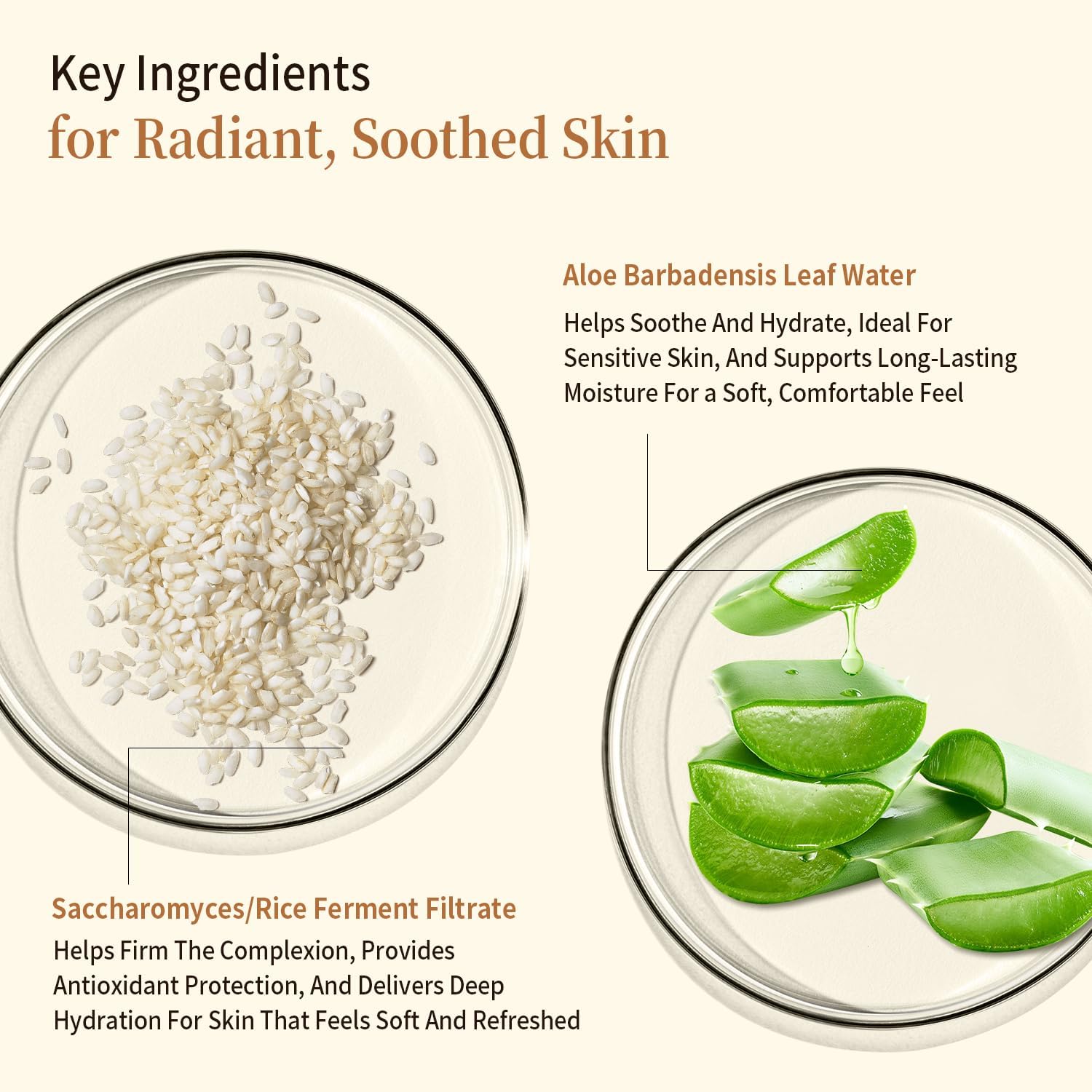 Thumbnail 1 de RAZUYEN Rice Toner 200 ml met aloë vera en niacinamide
