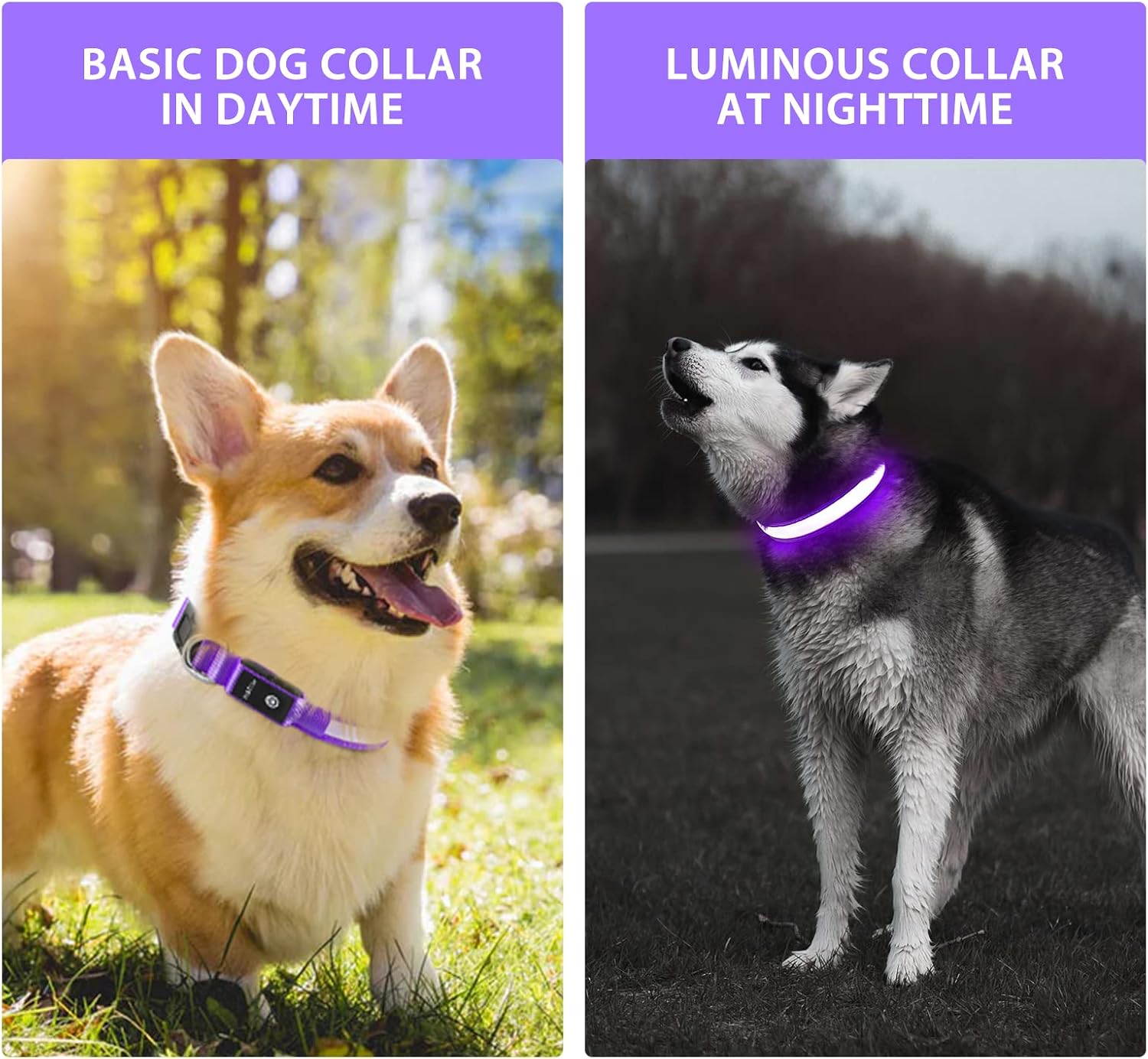 Thumbnail 6 de Leuchthalsband Hund mit LED 7 Farben