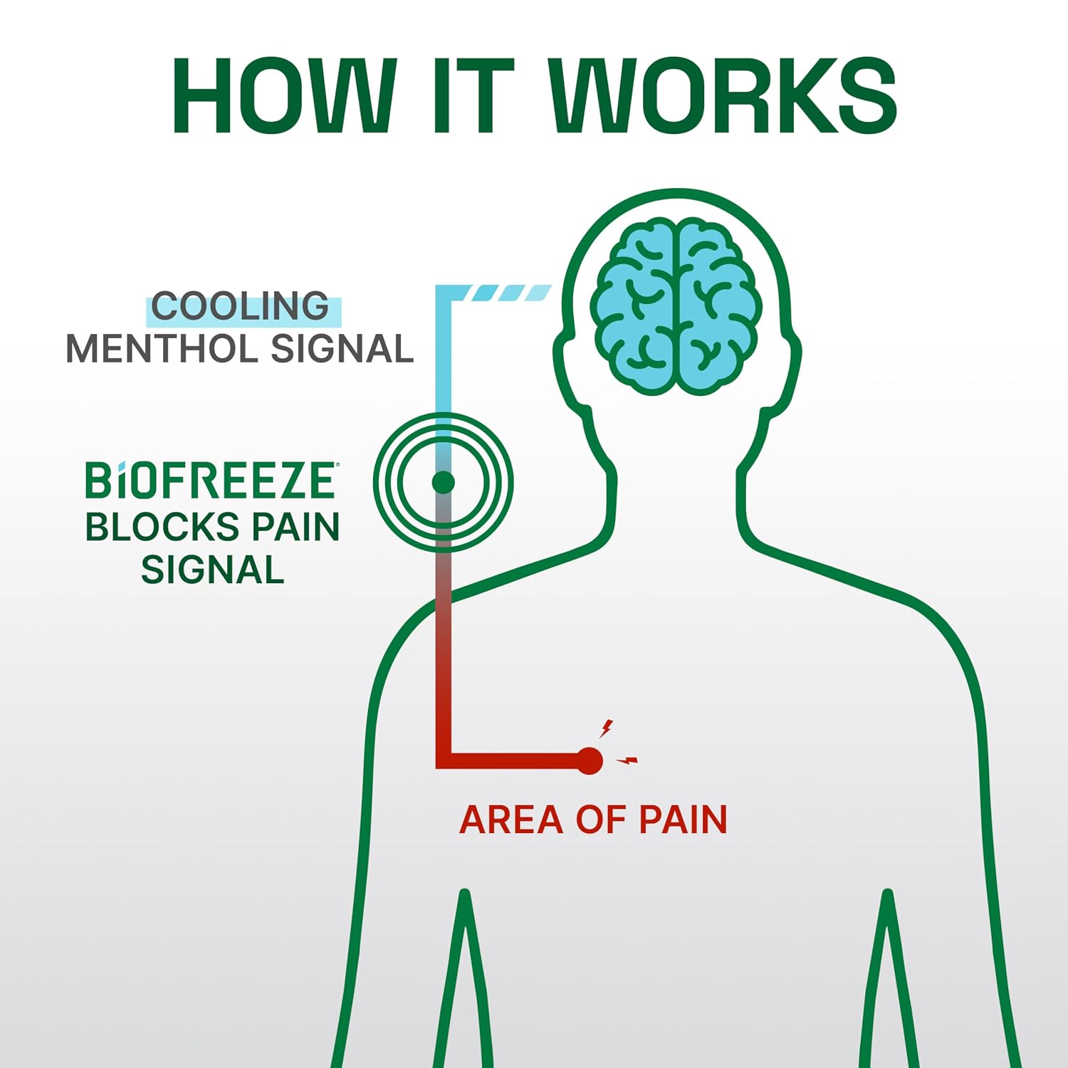 Detalle 2 de Biofreeze Pain Relief Gel 4 fl oz