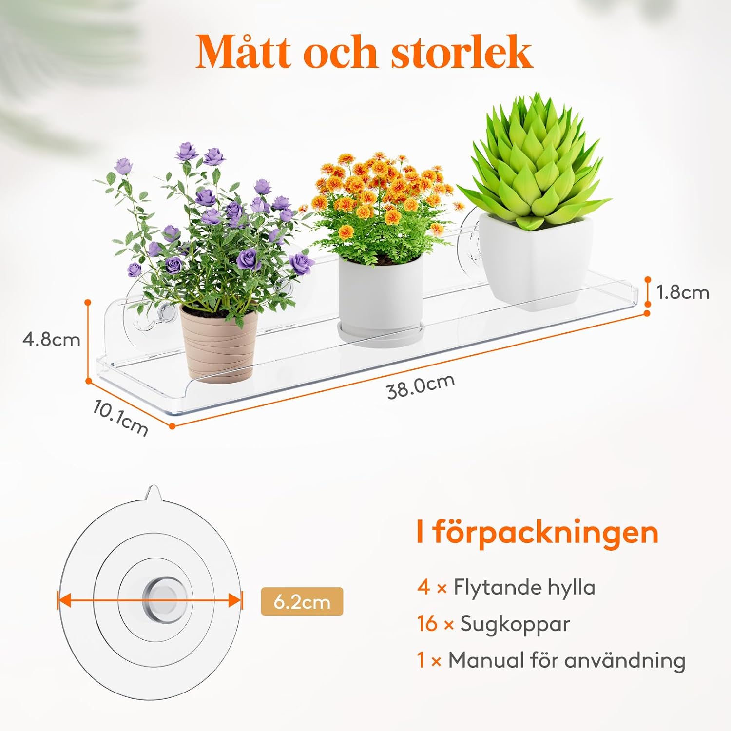 Detalle de Lifewit 24126 transparenta fönsterhyllor med sugkoppar, 4-pack