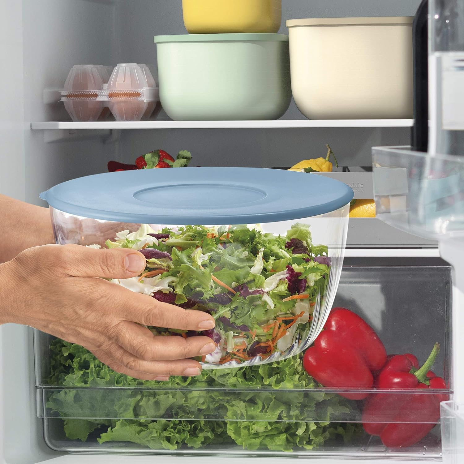 Detalle de Centrifuga insalata Guzzini 26 cm