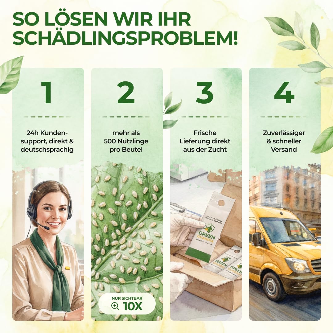 Thumbnail 3 de GREEN GUARDIA Power Raubmilben gegen Spinnmilben – 15 Tüten | Biologische Schädlingsbekämpfung für Zimmerpflanzen, Zierpflanzen und Cannabis