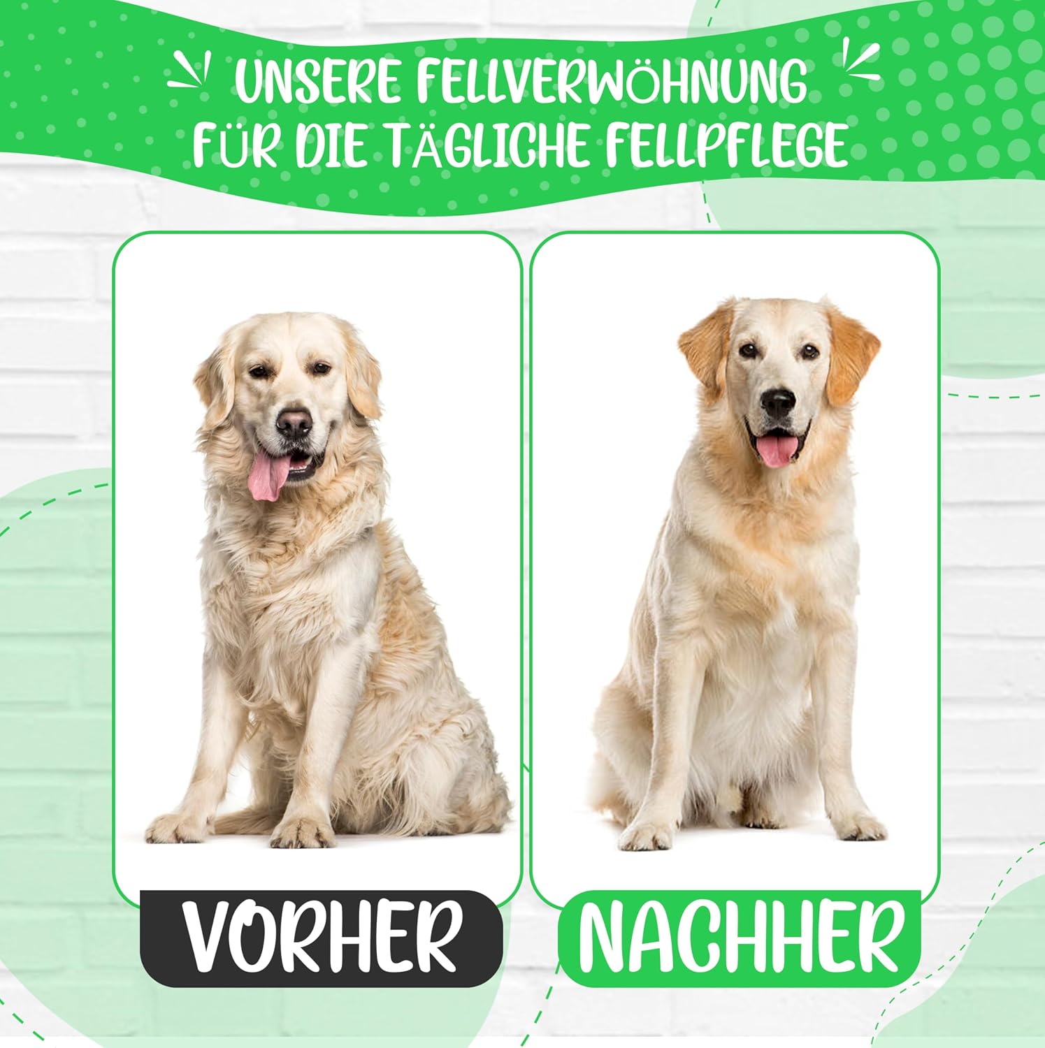 Detalle 2 de Golden Pets TESTURTEIL SEHR GUT Softbürste – sanfte Fellpflege mit Schutzpunkten für Hund, Welpe, Katze & Co.