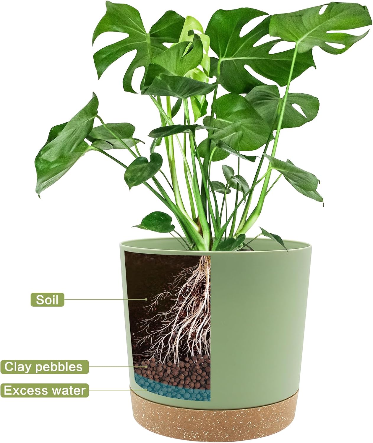 Detalle de QCQHDU 16.5cm Plant Pot (2-Pack) with Drainage Holes & Saucer, Green