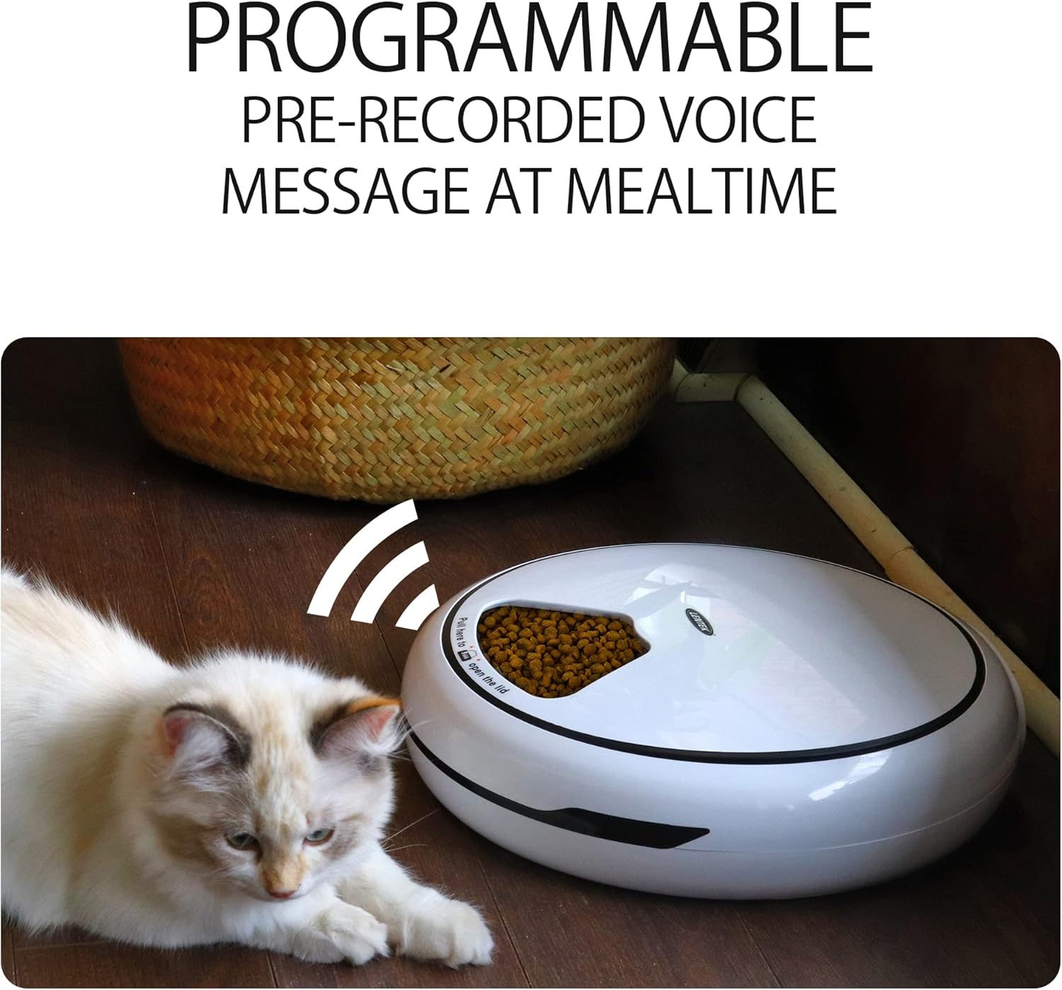 Detalle 2 de Lentek Automatic Pet Feeder: 5-Bowl Wet & Dry Food Dispenser with Timed Meals and App Control