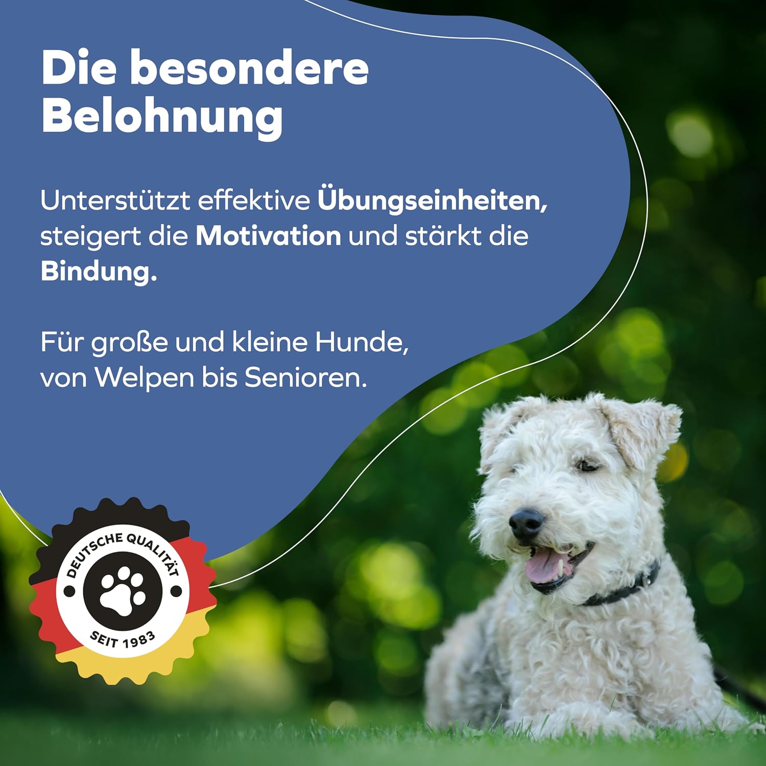 Detalle de Schwenner Getrocknete Trainingshappen Rinderlunge 1000g
