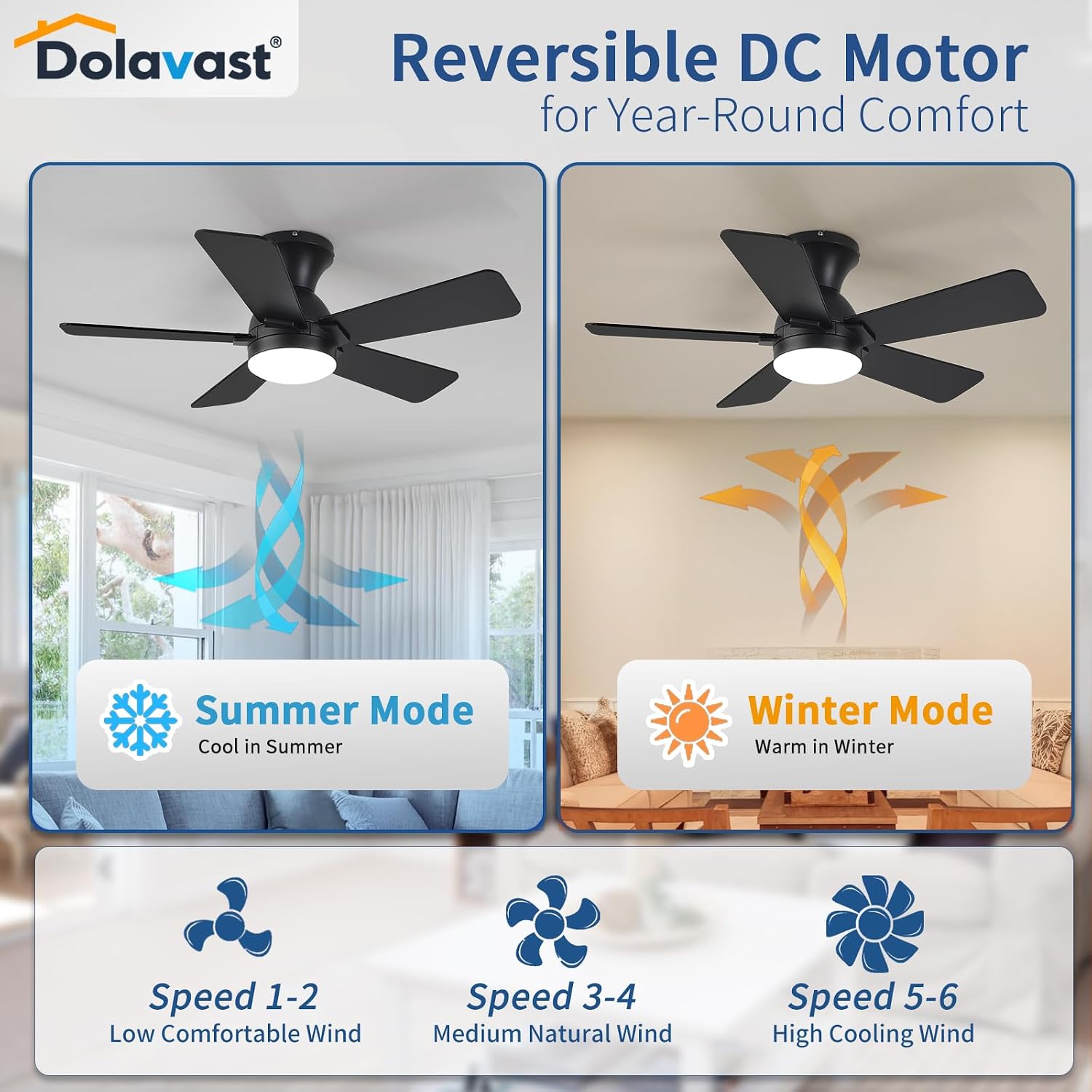 Detalle de Dolavast HY-6163-5/36 36-Inch Ceiling Fan with Light, Remote and Reversible Blades