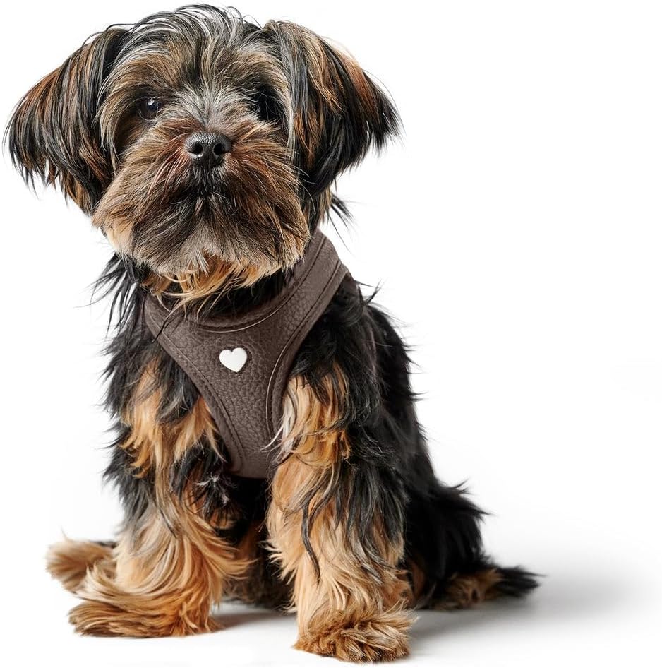 Detalle de Hunter Hundegeschirr Love XXS-XS braun