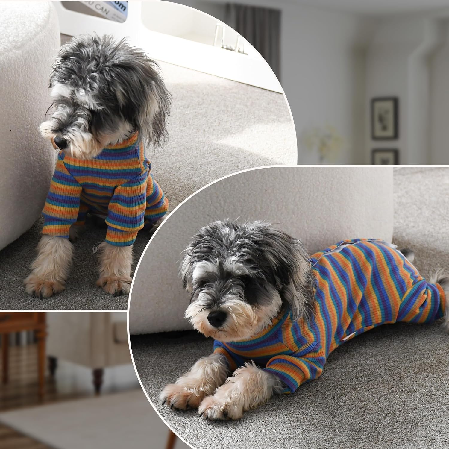 Thumbnail 5 de PawSailor Dog Surgery Recovery Suit Sleeve – Full Bodysuit in Blue-Yellow, 95% Cotton