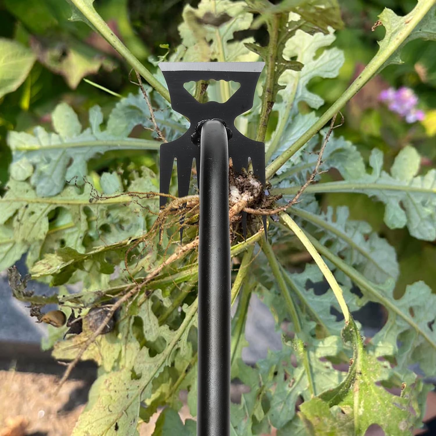 Detalle 2 de Rngeo Gardening Hand Weeder Set, 6-Tine Manganese Steel, 2-Pack