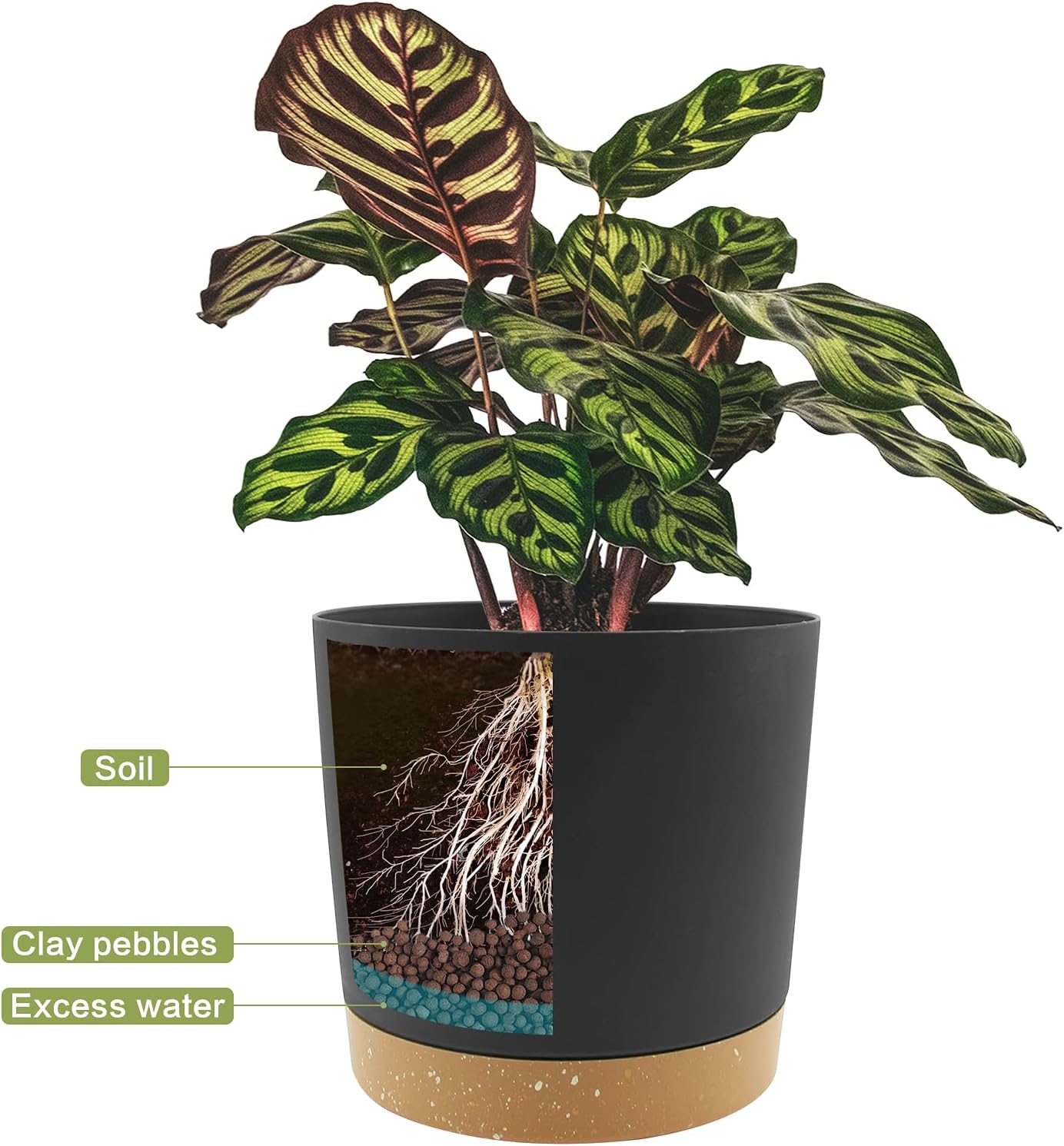 Thumbnail 2 de QCQHDU 30.5cm Plant Pot (2-Pack) with Drainage Holes & Saucer, Dark Grey