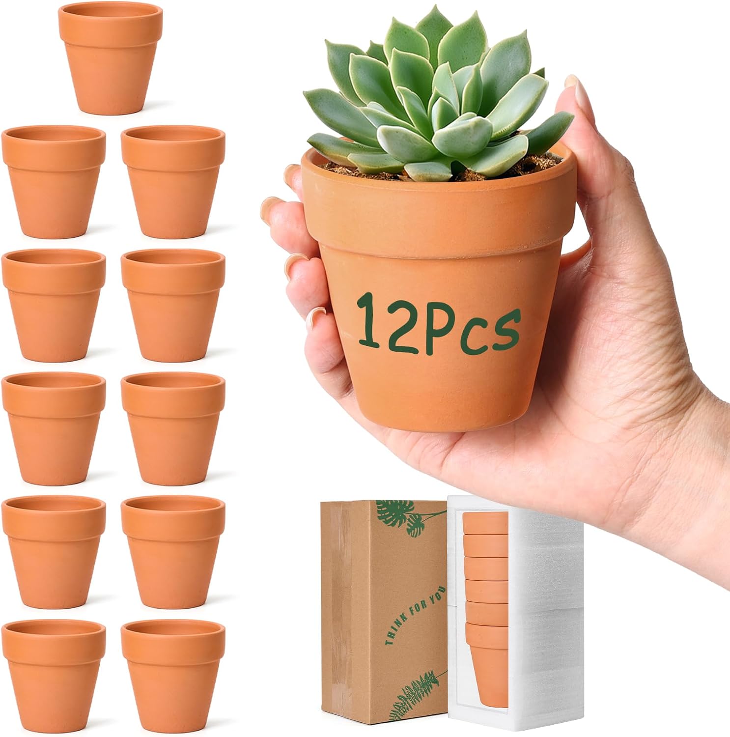 Detalle de T4U 8cm Mini Terracotta Pots 12 Pack