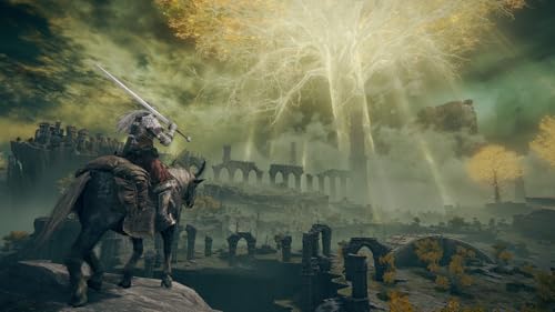 Detalle 2 de Elden Ring: Tarnished Edition (Nintendo Switch 2) – A pragmatic look