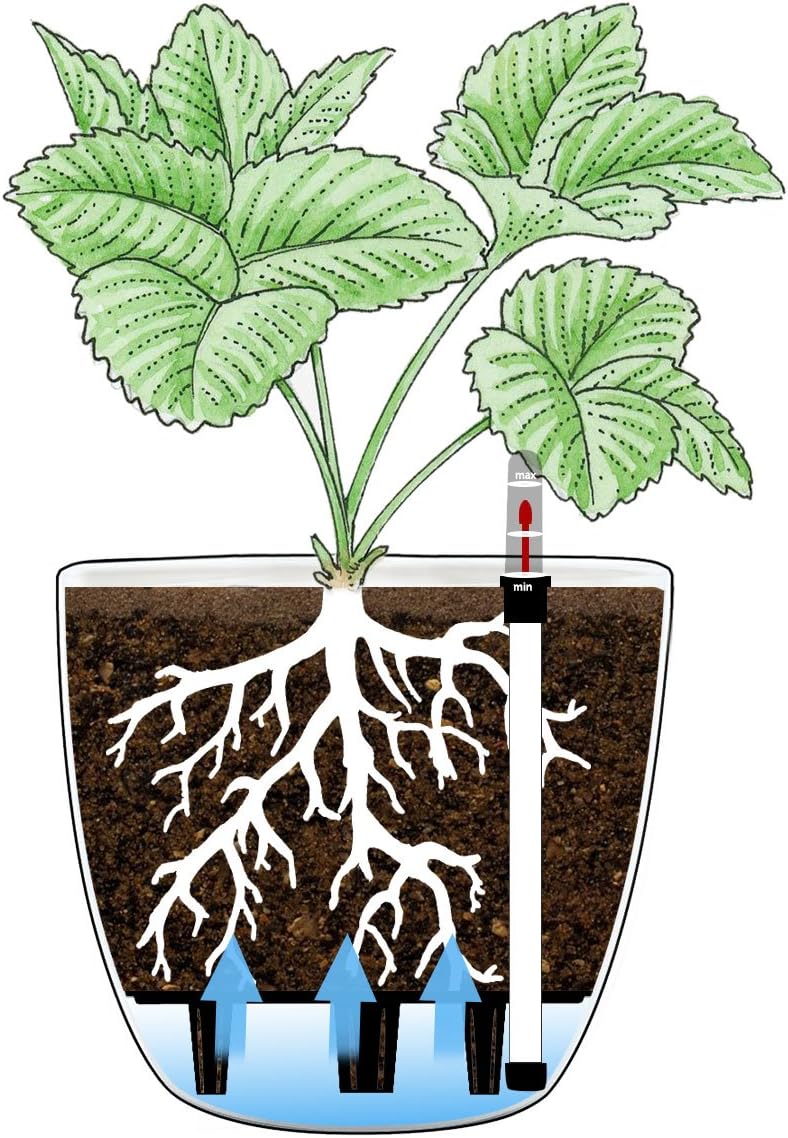 Detalle de T4U 15 cm Selbstwässernder Blumentopf im 4er-Set – Bewässerungssystem für Innen- und Außenbereich
