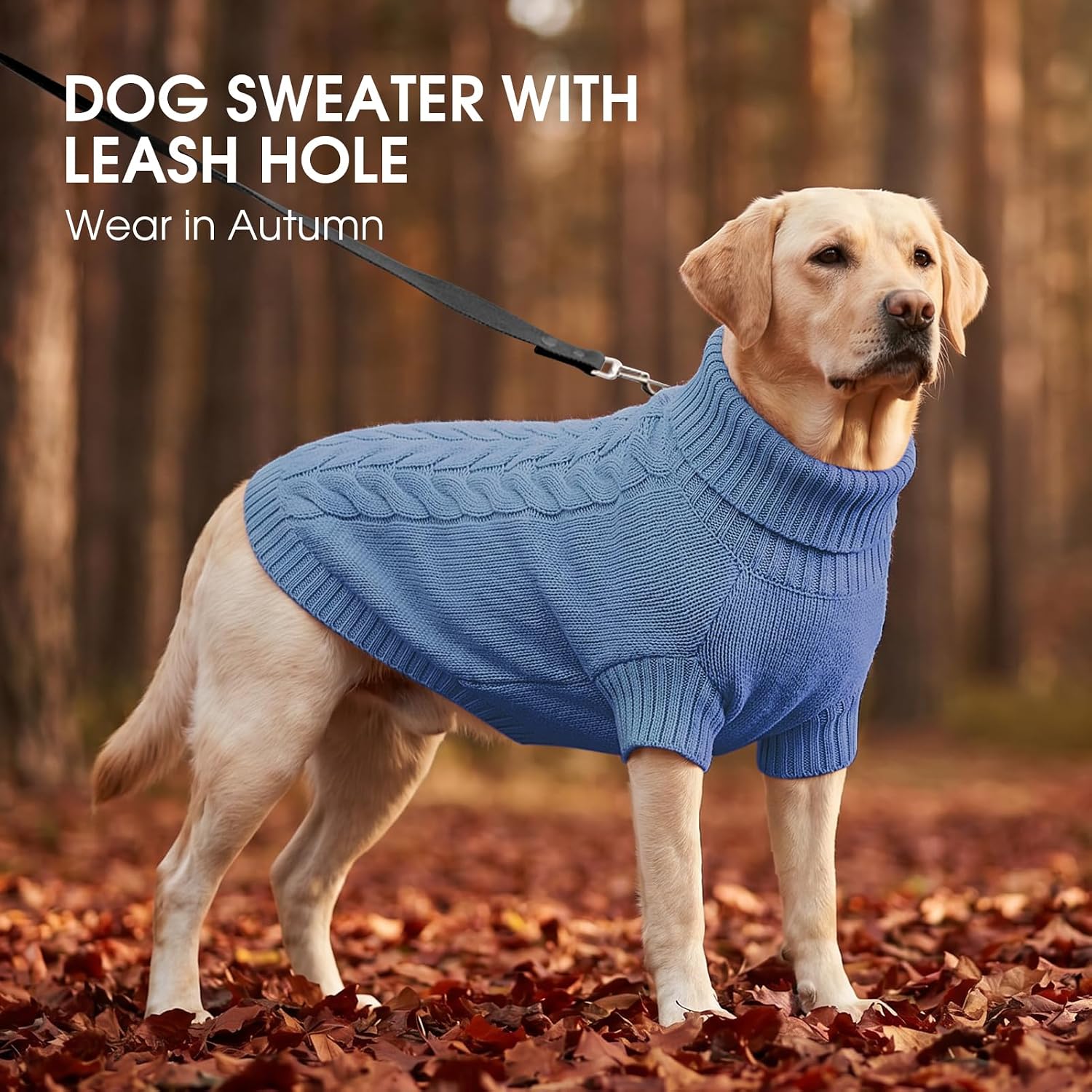 Thumbnail 6 de Dog Sweater XS