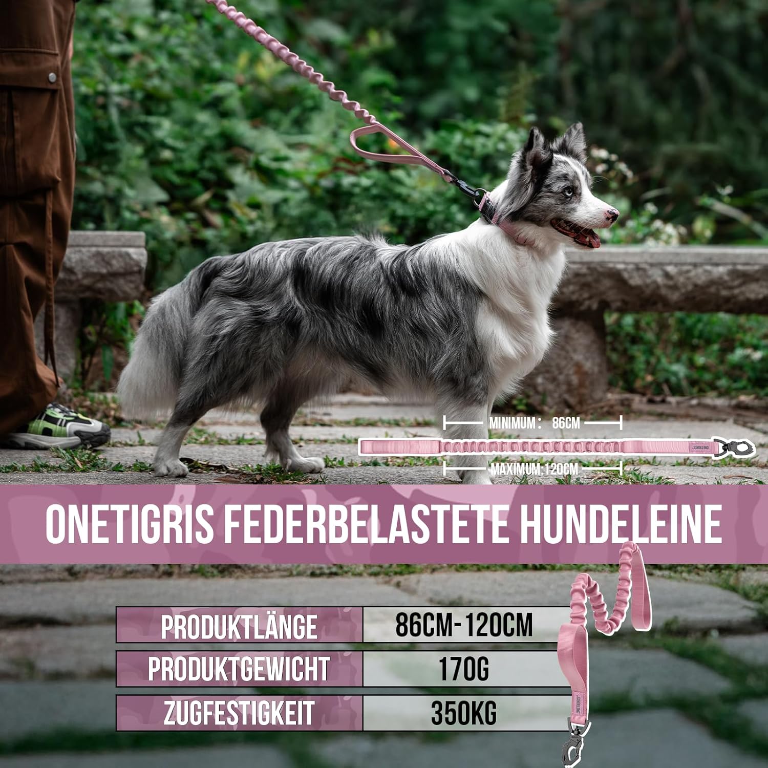 Detalle 2 de OneTigris Laisse pour chien à ressort 86–120 cm, nylon résistant avec clip en forme de dent de tigre – rose