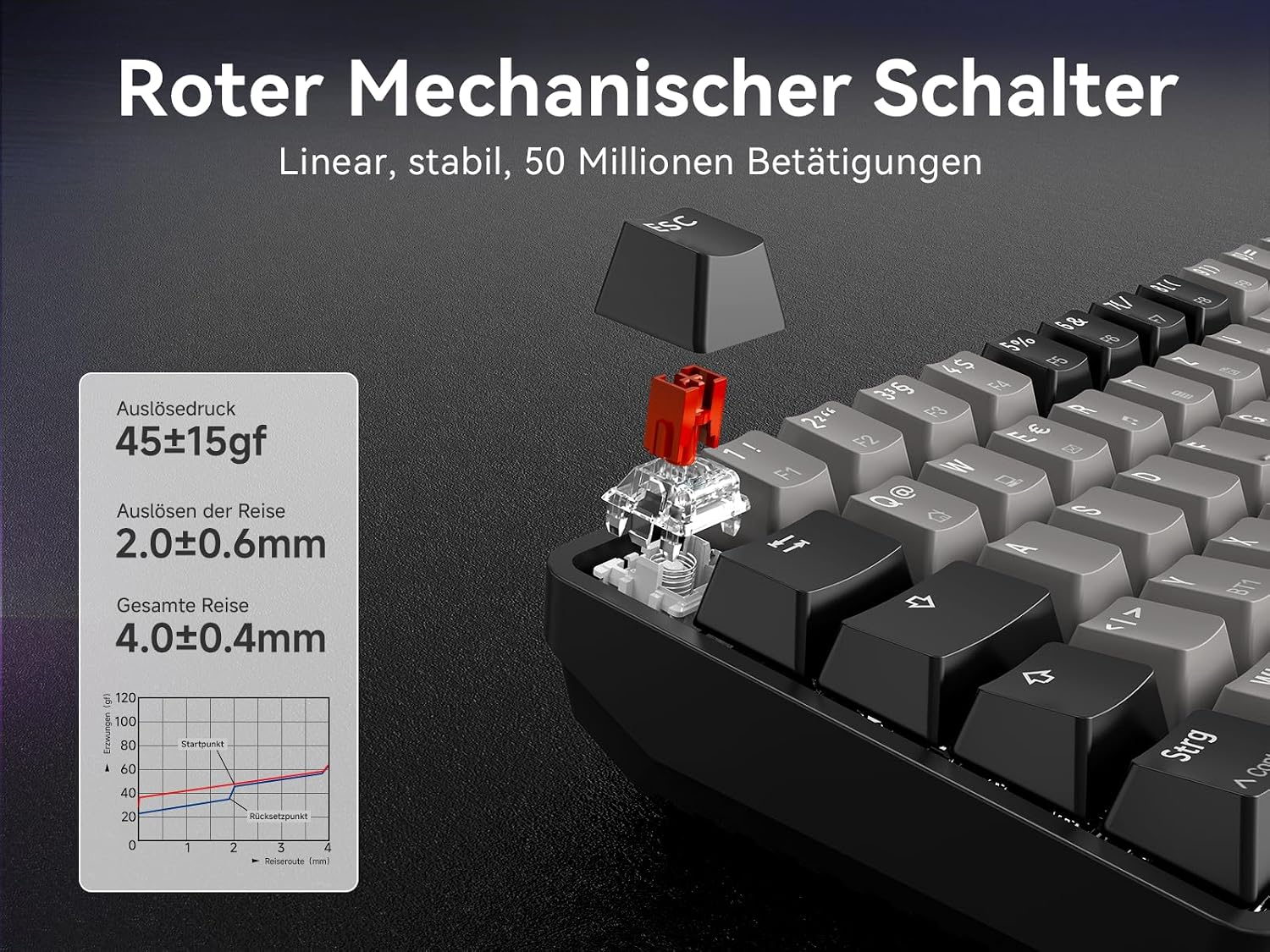 Detalle 1 de Dierya DK68 Kabellose Gaming Tastatur