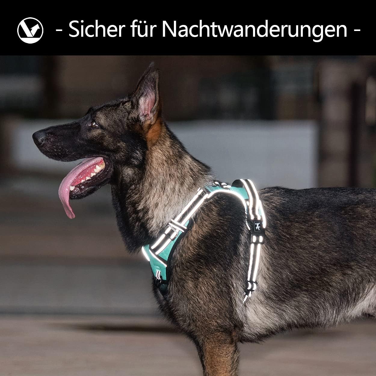 Thumbnail 4 de PoyPet Keine Pull Hundegeschirr Front Reflektierende Weste – Mint Blau, XL
