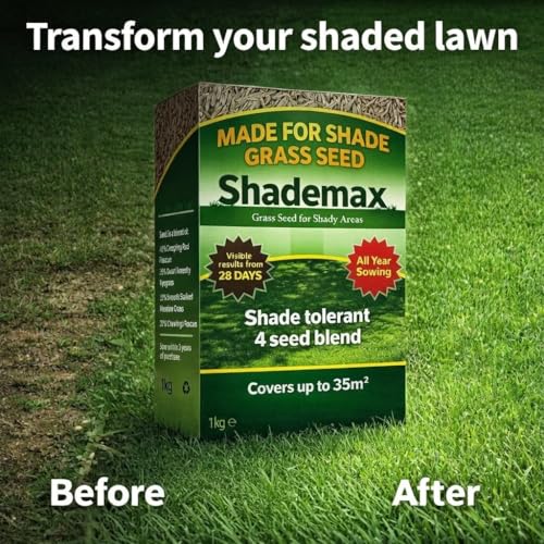 Detalle de Shademax – Grass Seeds for Shady Areas (1kg) by EFA International