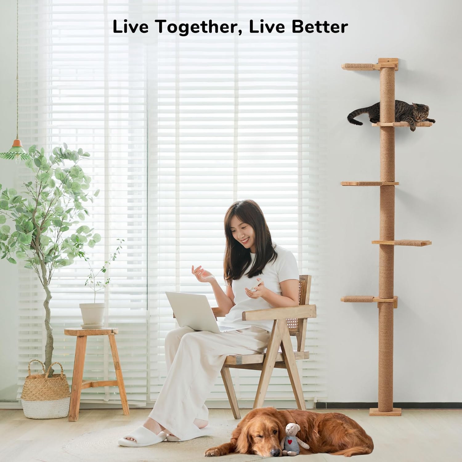 Thumbnail 1 de FUKUMARU Arbres à Chat mural Wall Jungle 205,7 cm : 5 étages, griffoir rotatif et plateformes pivotantes