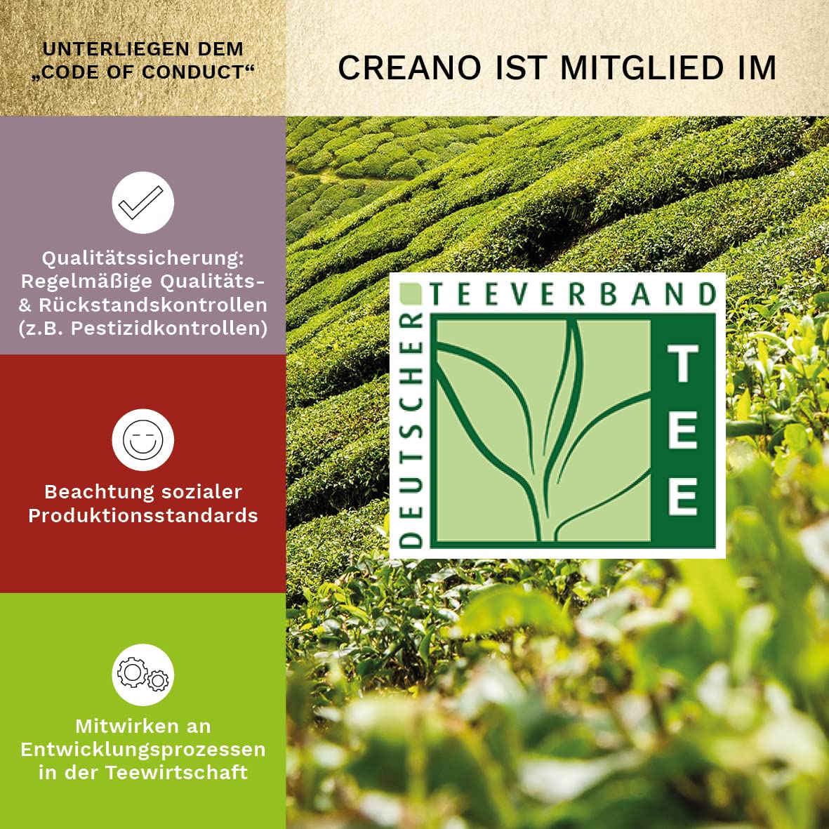Thumbnail 3 de Creano Teeblumen Mix Erblühtee 0,5 l