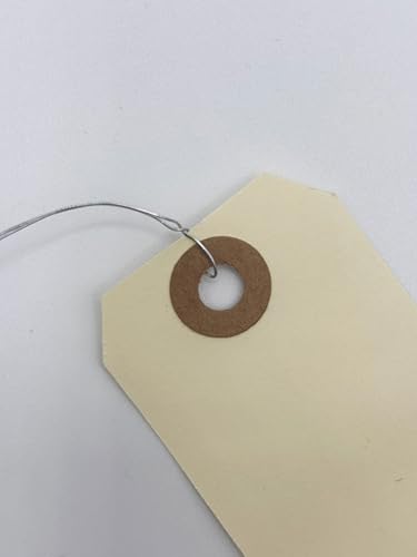 Thumbnail 5 de Apli 101579 étiquettes américaines 100x51 mm 📄