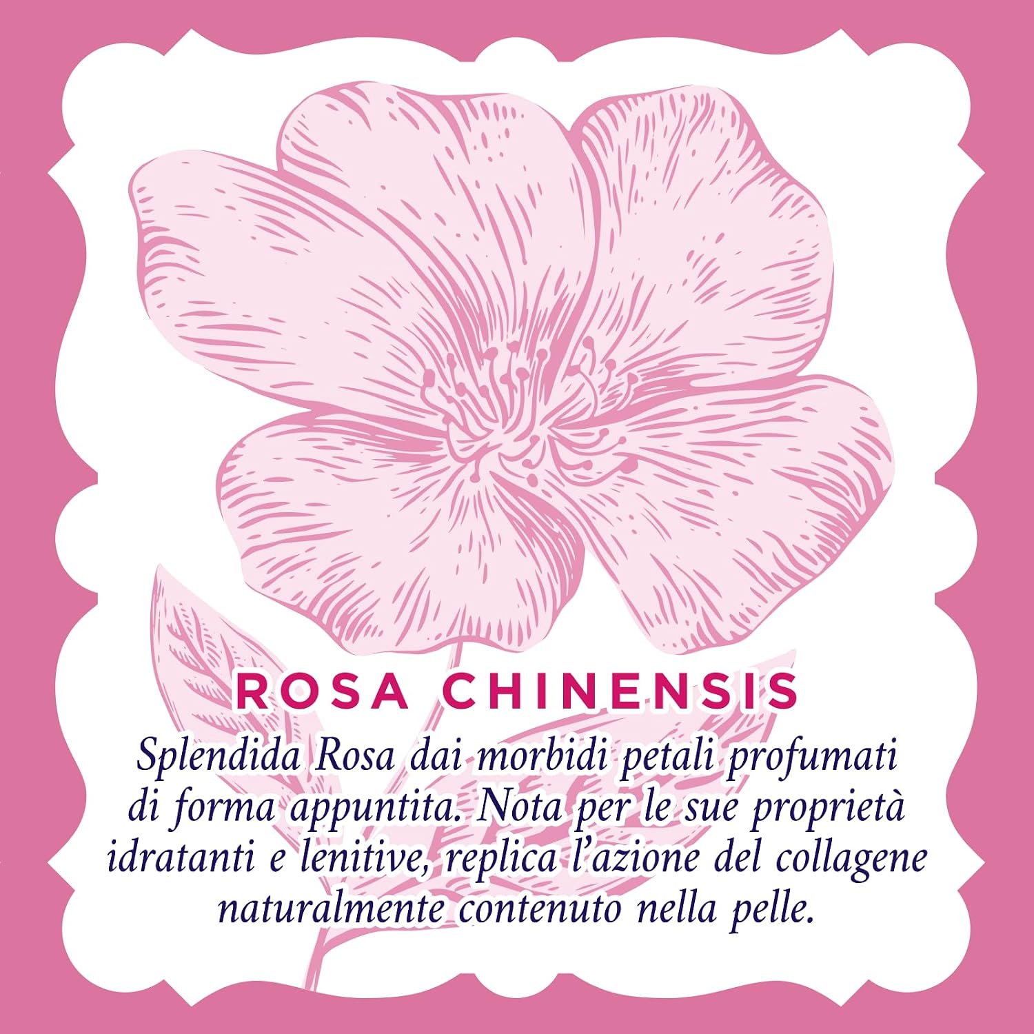 Detalle 2 de Acqua alle Rose Maschera Viso 5 pz lenitiva