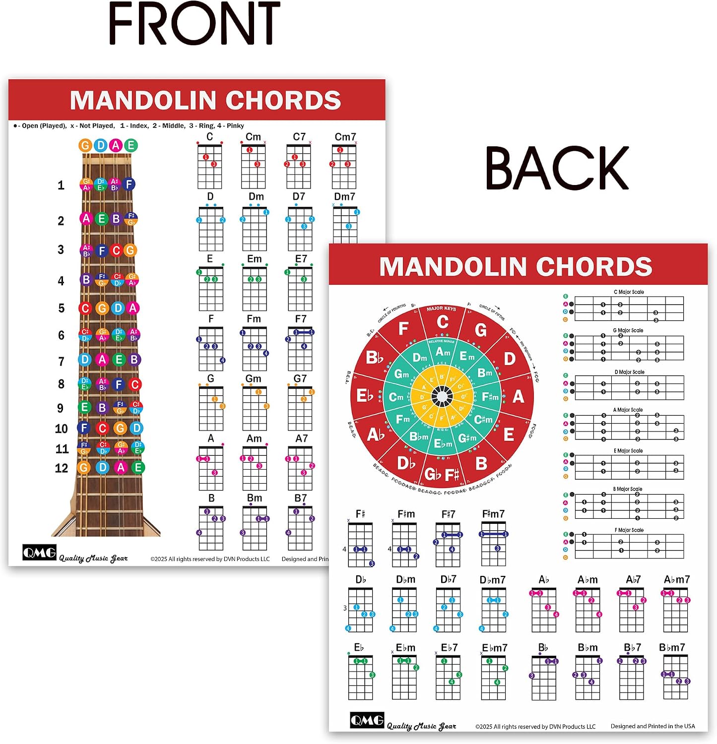 Detalle de QMG Mandolin Chord Chart, Laminated