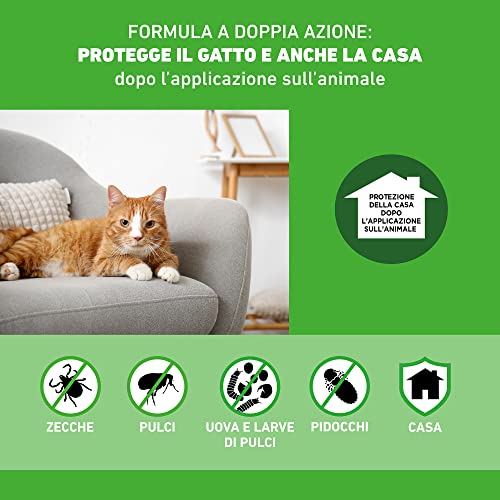Thumbnail 2 de FRONTLINE Combo per Gatti, Gattini e Furetti – Confezione 6 Pipette da 0,5 ml, antiparassitario a lunga durata