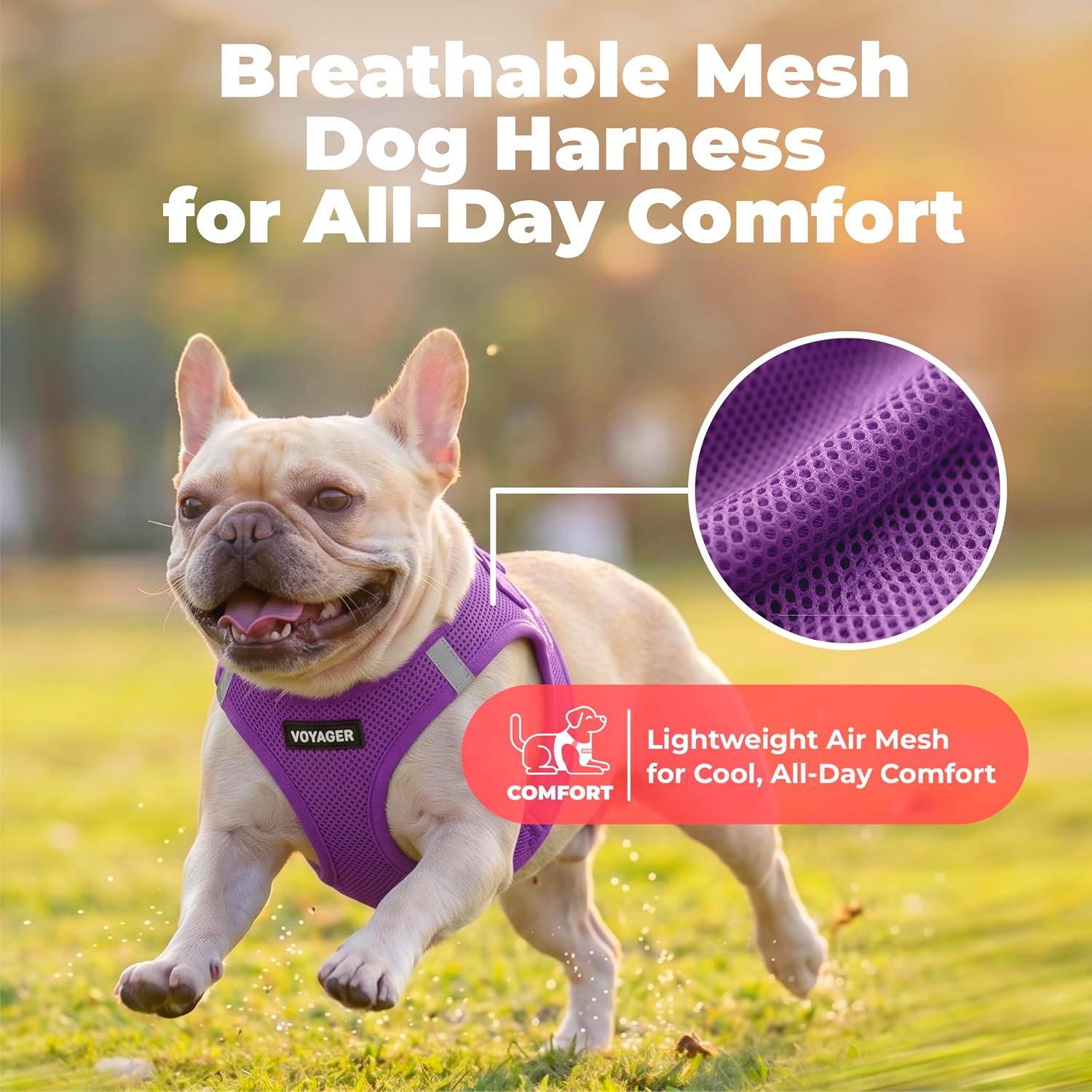 Detalle 1 de Best Pet Supplies 207T-PPW-S Voyager Step-in Air Dog Vest Harness, Purple
