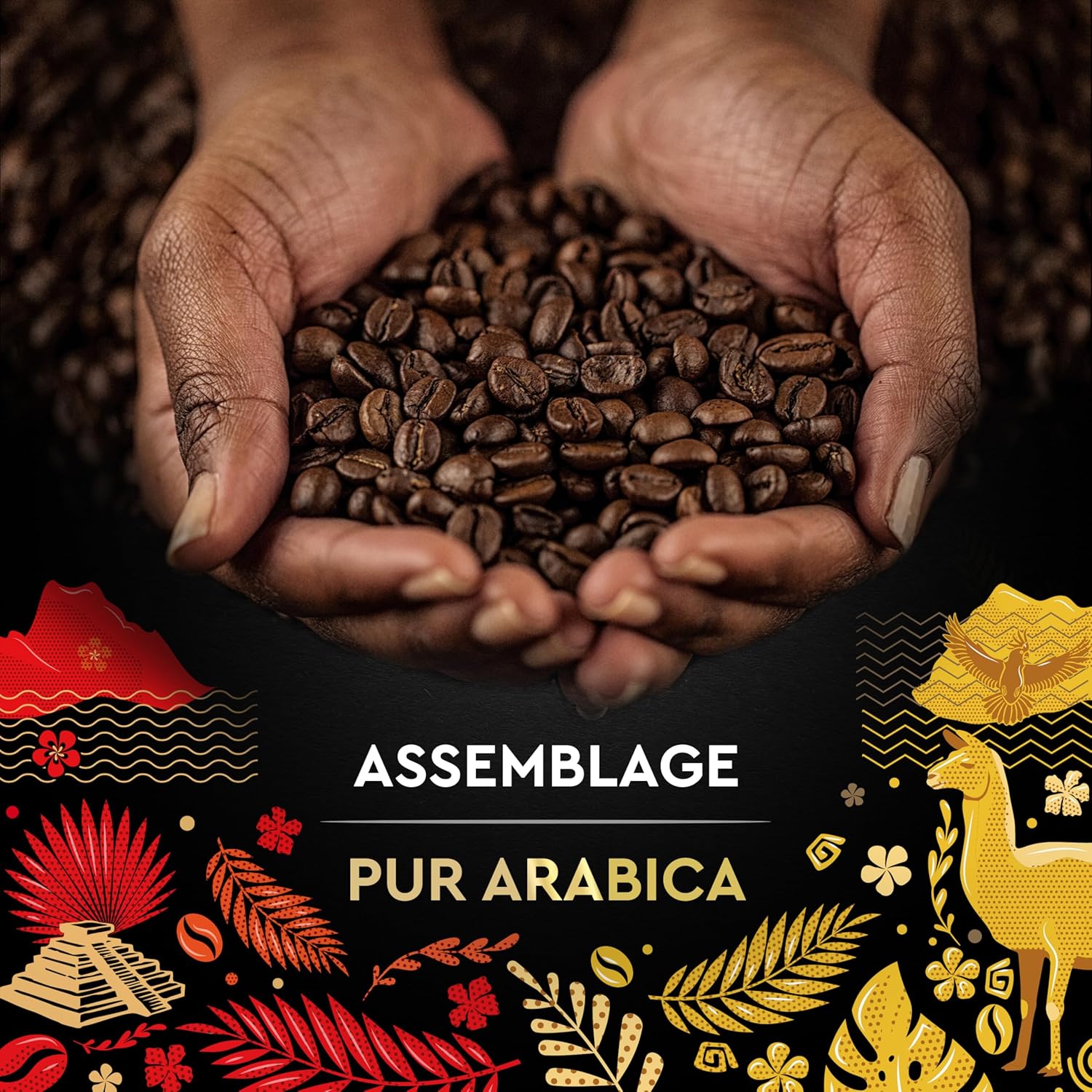 Detalle 2 de Carte Noire Café Terres d'Arabica 4x500 g
