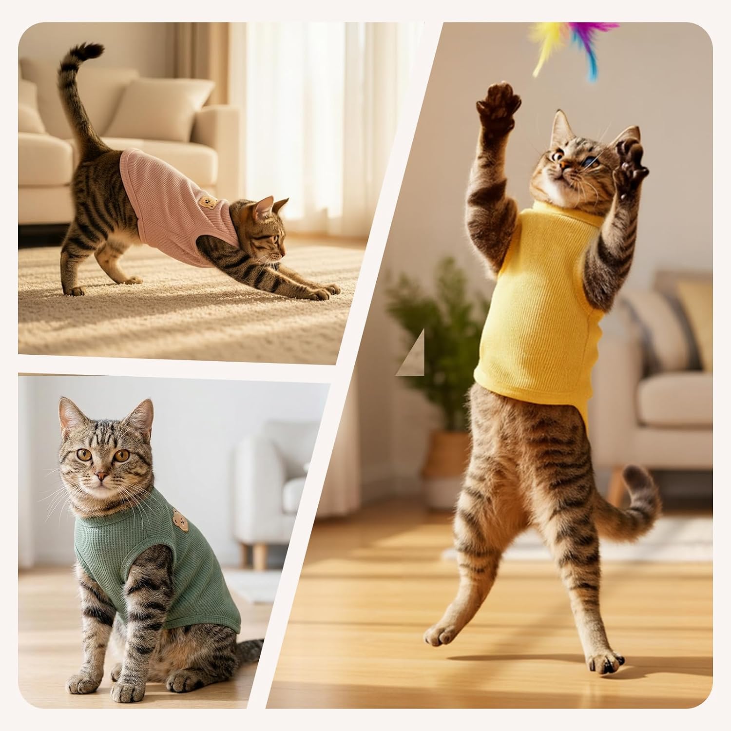 Thumbnail 5 de Coohams Katzenkleidung 3er Pack – Katzen Tshirt aus Waffelstoff (2XL), inklusive Bären-Apperl