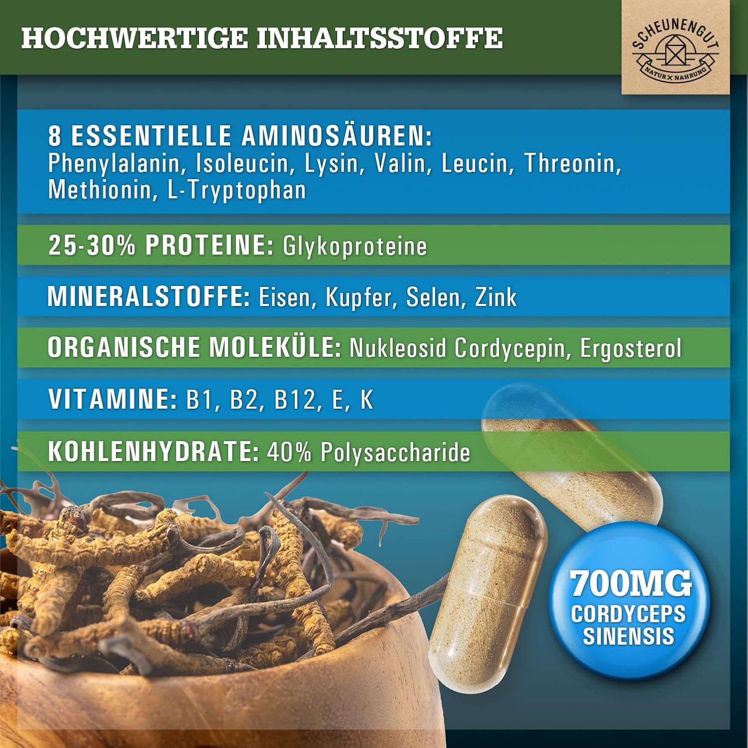 Thumbnail 2 de Cordyceps 1400 mg (10:1 Extrakt) – 40% bioaktive Polysaccharide, vegan – DE SCHEUNENGUT®