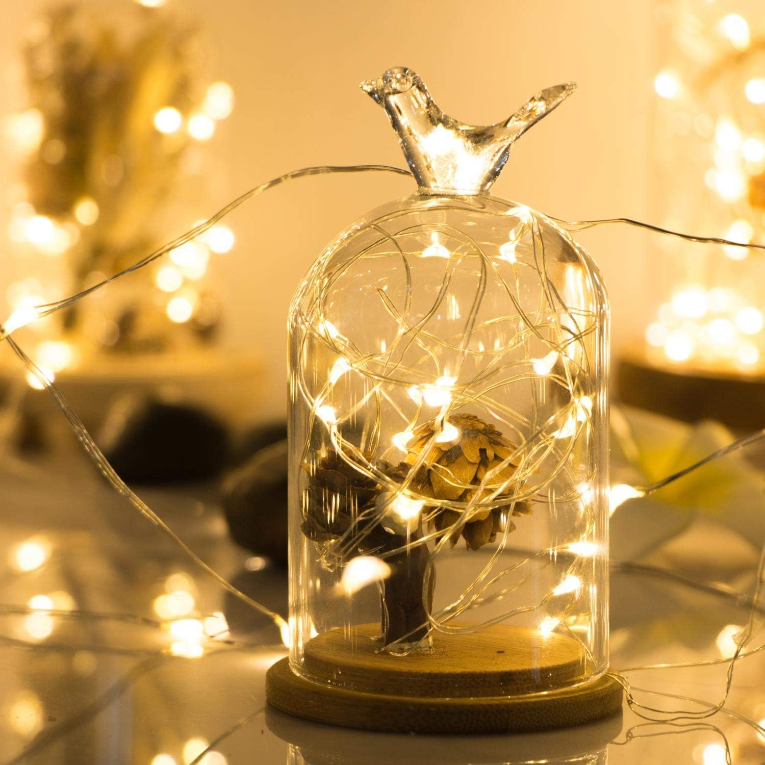 Detalle de ANJAYLIA 2-Pack 10 ft Warm White LED String Lights, 30 LEDs Each