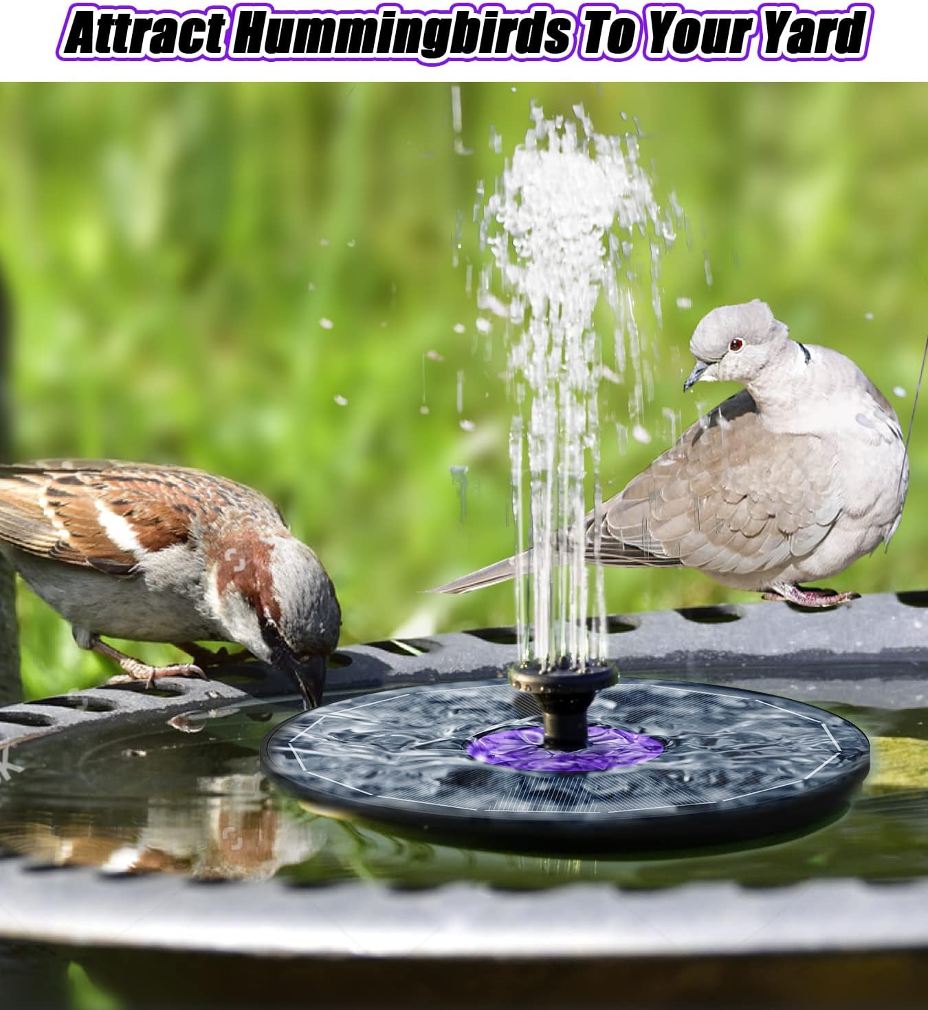 Thumbnail 6 de SZMP solar bird bath fountain 3.5W