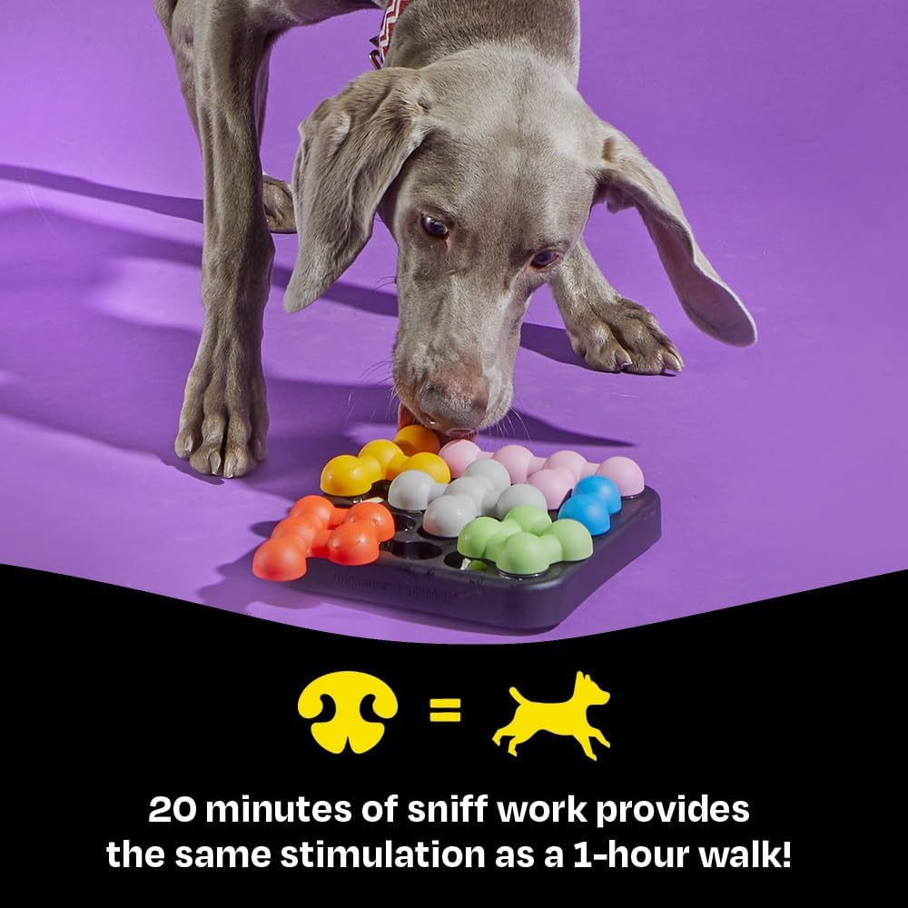 Detalle de BrightKins Kanoodle Dog Edition Small: Interactive Puzzle Toy for Small Dogs