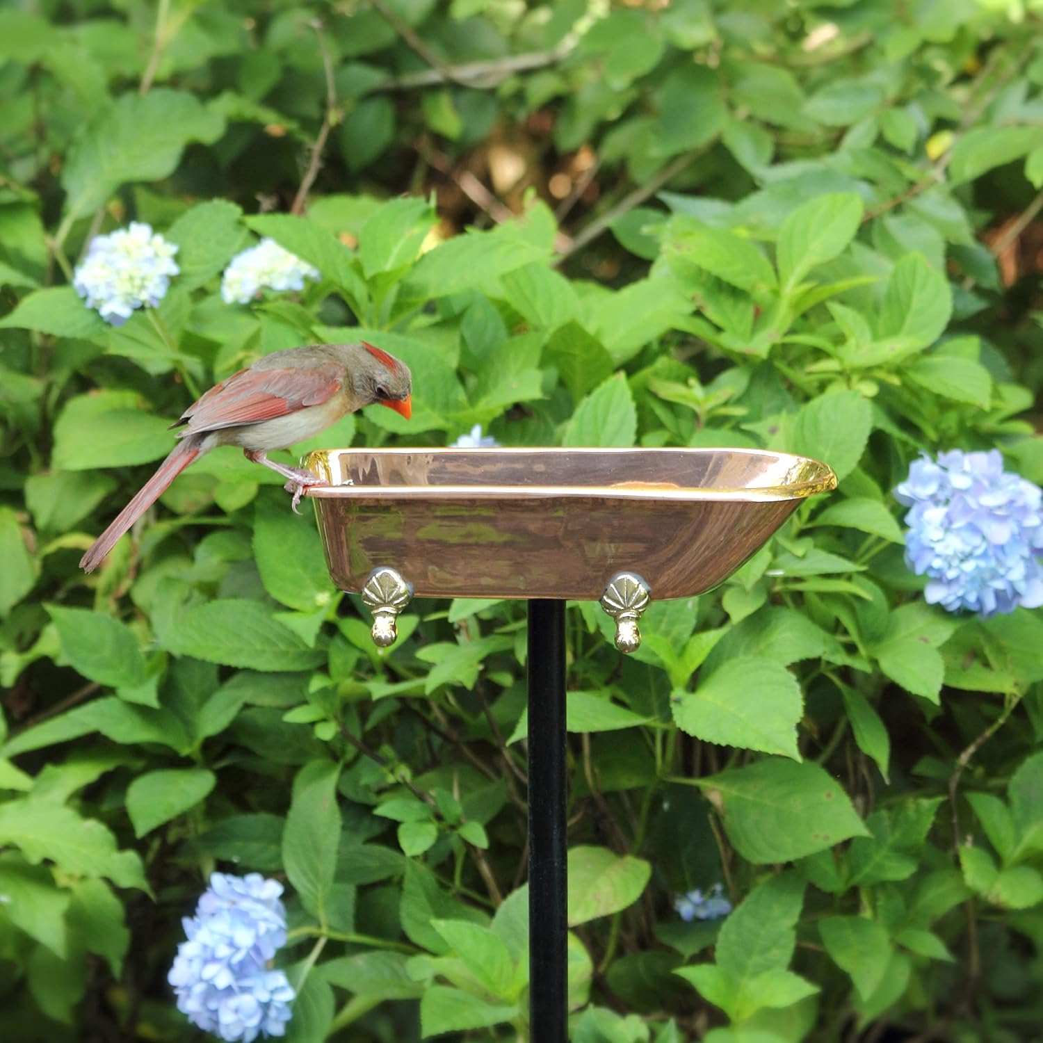Detalle 1 de Good Directions Bird Bath, Pure Copper